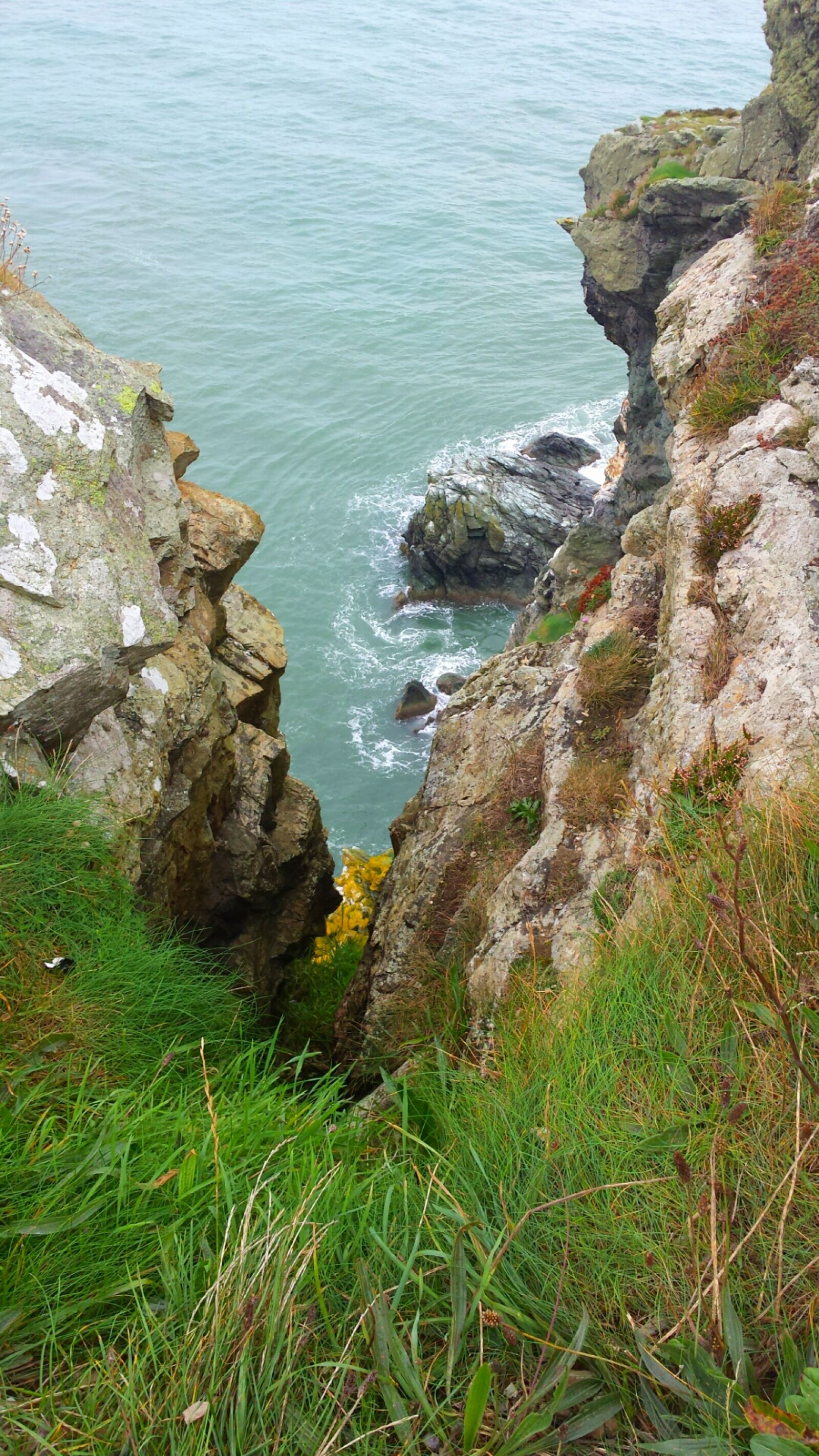 Samsung Galaxy S4 sample photo. Coast, green, nature, nature photography