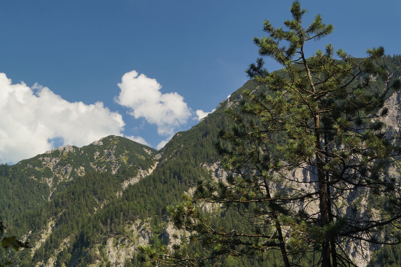 Sony DT 18-55mm F3.5-5.6 SAM II sample photo. Mountain, tree, sky photography