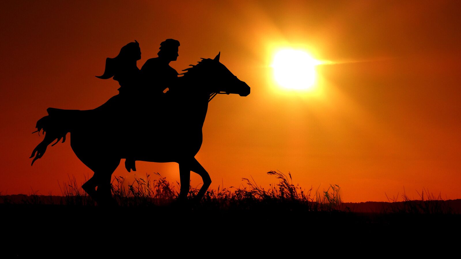 Panasonic Lumix DMC-FZ200 sample photo. Sunset, horse, gallop photography