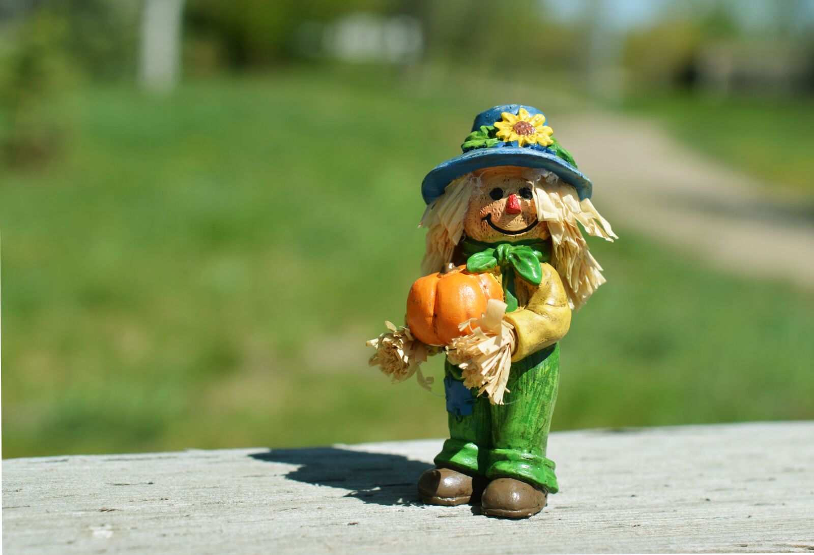 Nikon D3200 sample photo. Scarecrow, pumpkin, autumn photography