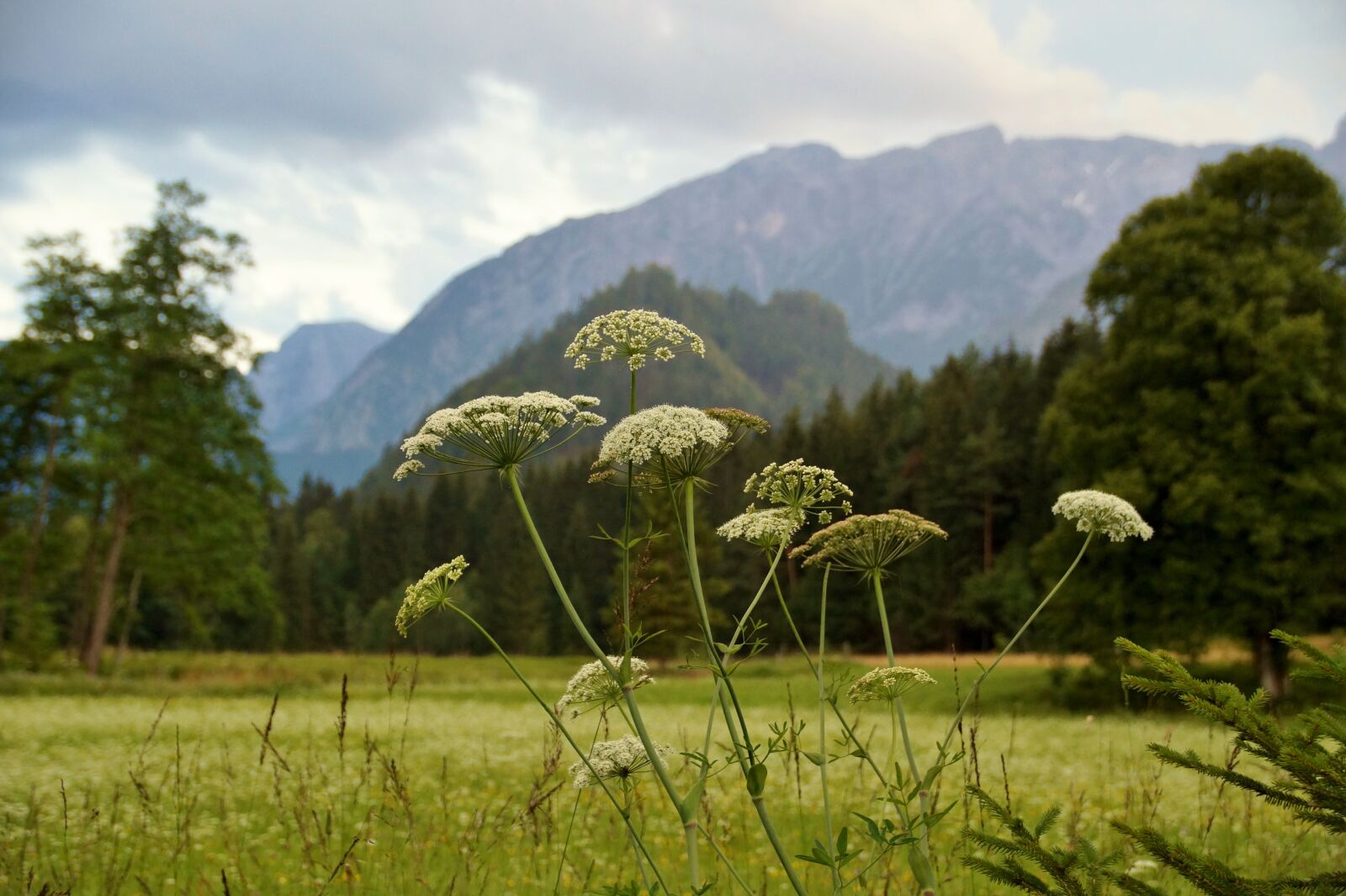 Sony SLT-A58 sample photo. Austria, alps, evening photography