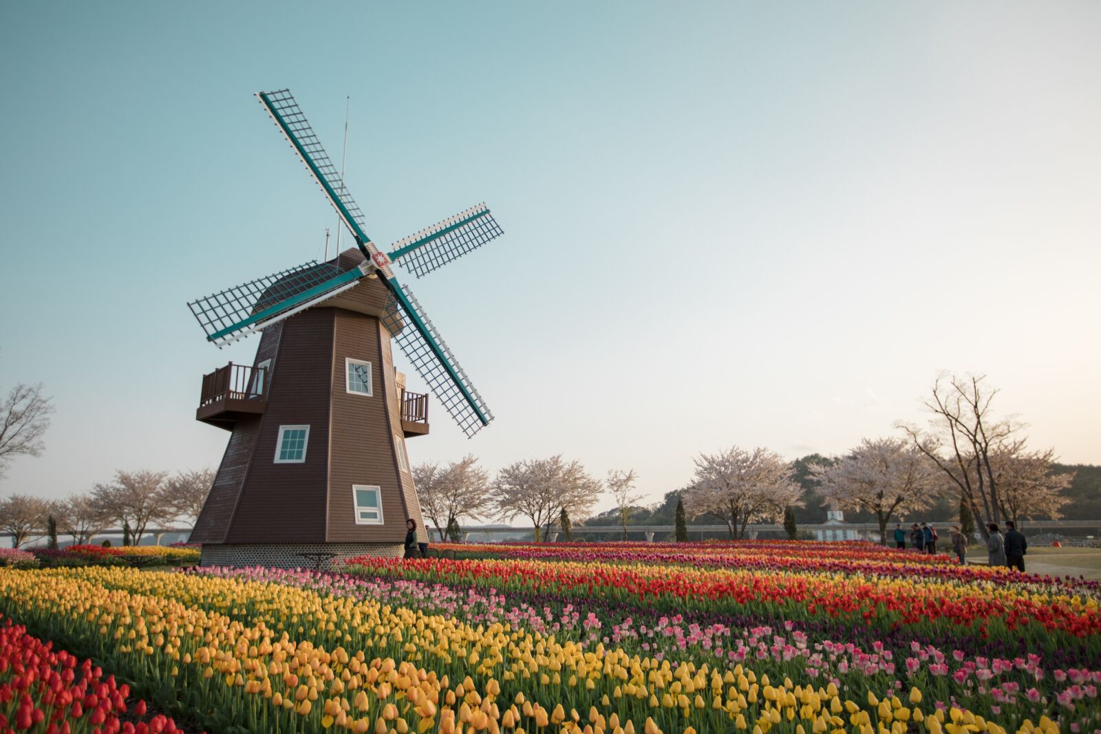 Canon EF 16-35mm F2.8L II USM sample photo. Suncheon bay, the dutch photography