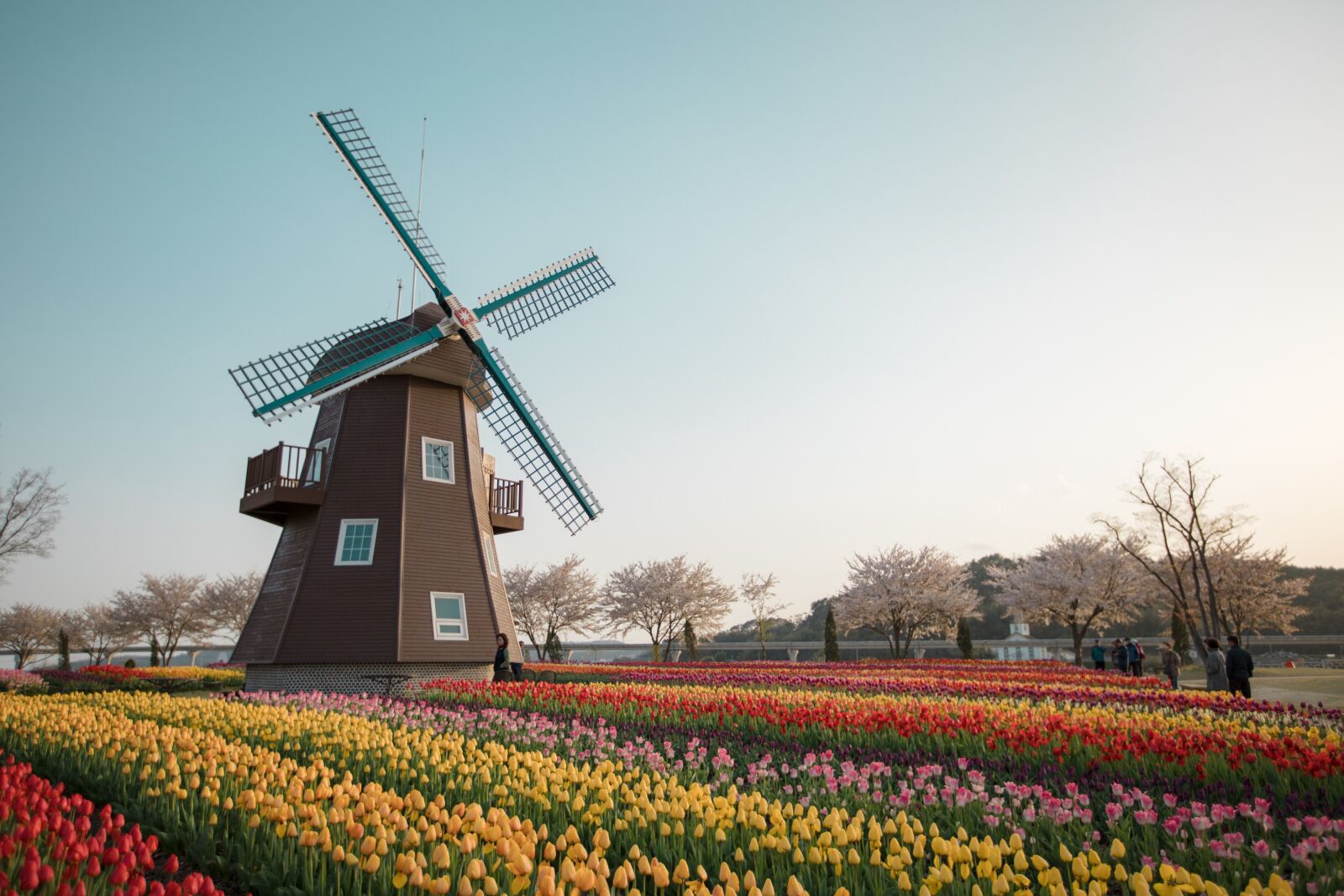 Canon EOS 5D Mark IV + Canon EF 16-35mm F2.8L II USM sample photo. Suncheon bay, the dutch photography