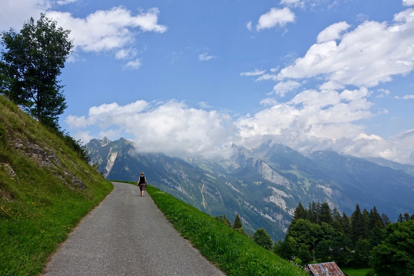 Sony Cyber-shot DSC-RX100 III sample photo. Trek, alps, walker photography