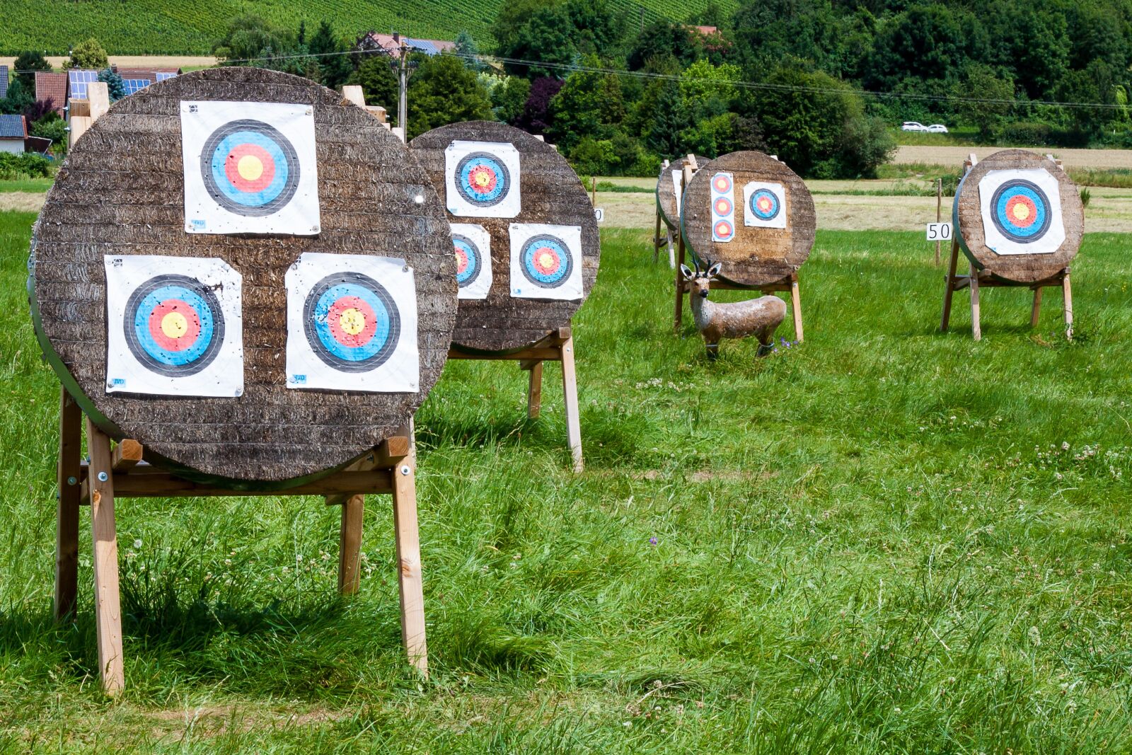 Canon EOS 50D + Canon EF 24-105mm F4L IS USM sample photo. Target, objectives, archery photography