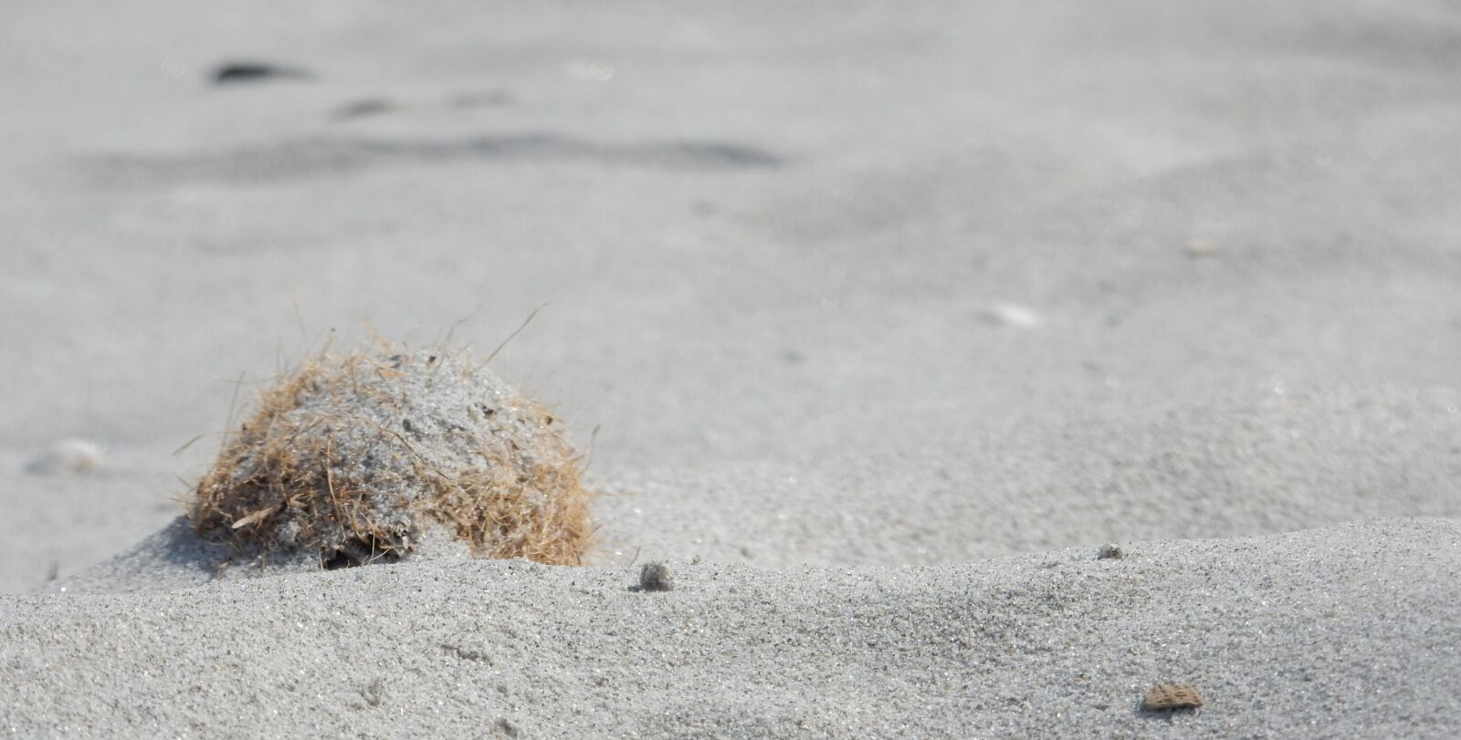 Nikon Coolpix S9700 sample photo. Sand, sea, beach photography