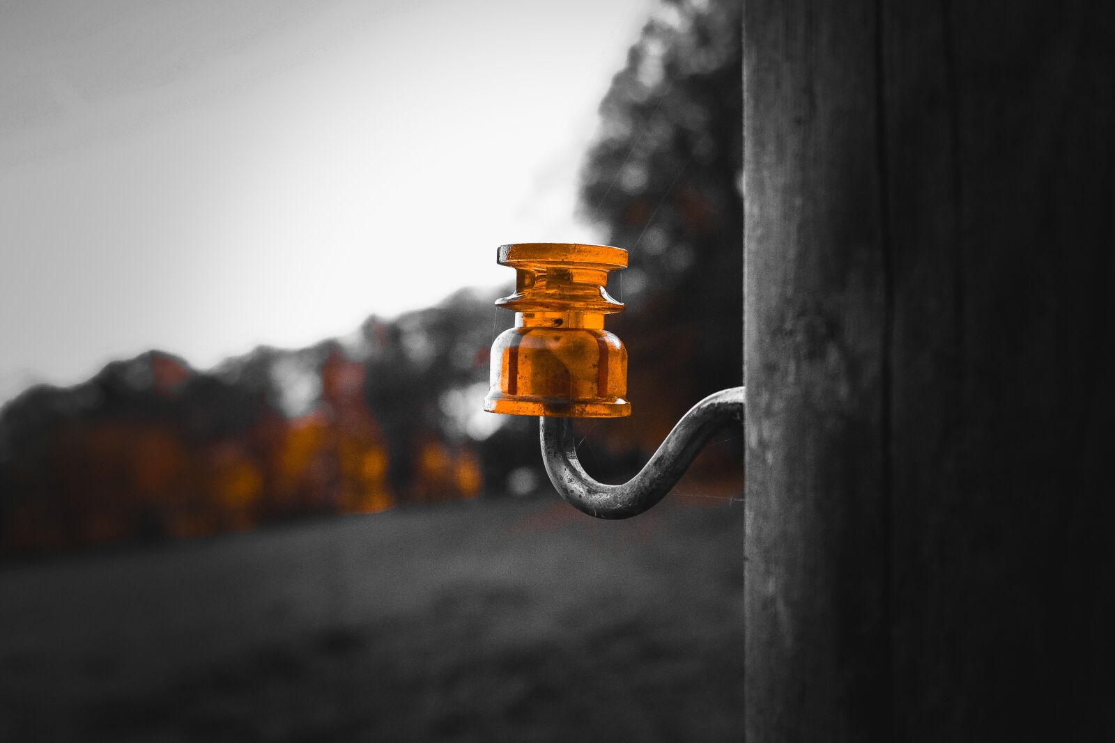 Fujifilm X-T2 sample photo. Insulator, electric fence, pasture photography