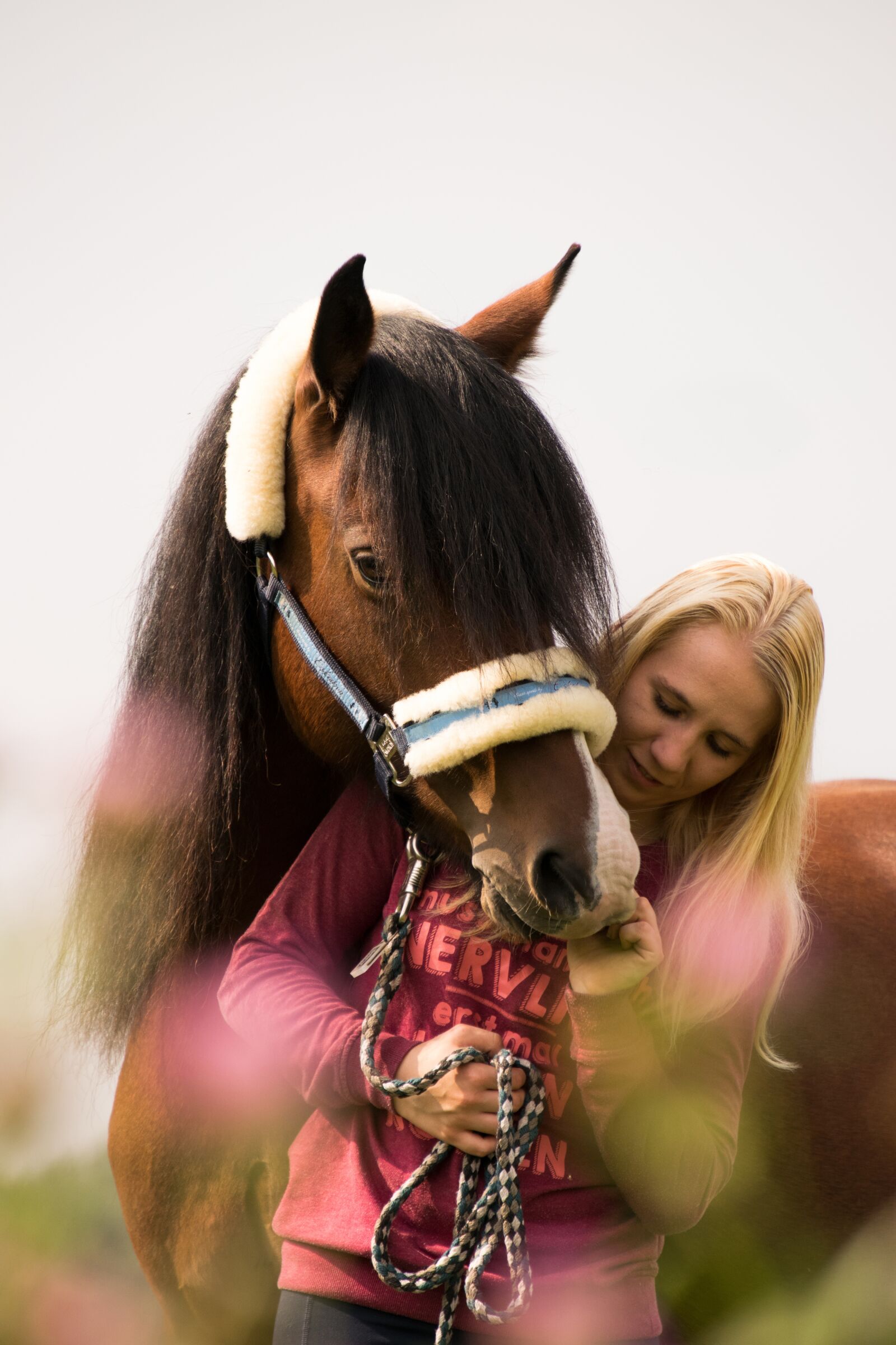 Nikon D3300 sample photo. Cavalry, portrait, mammal photography