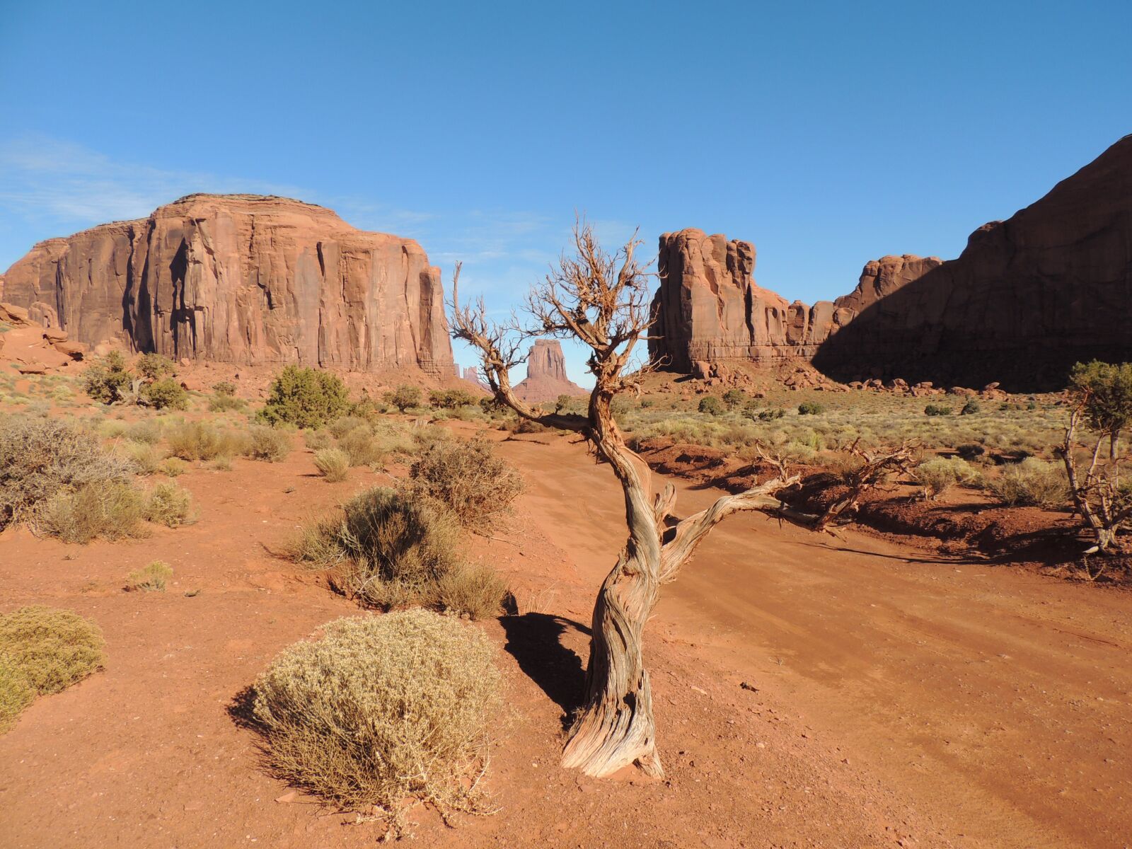 Nikon Coolpix P510 sample photo. Tree, monument, valley photography