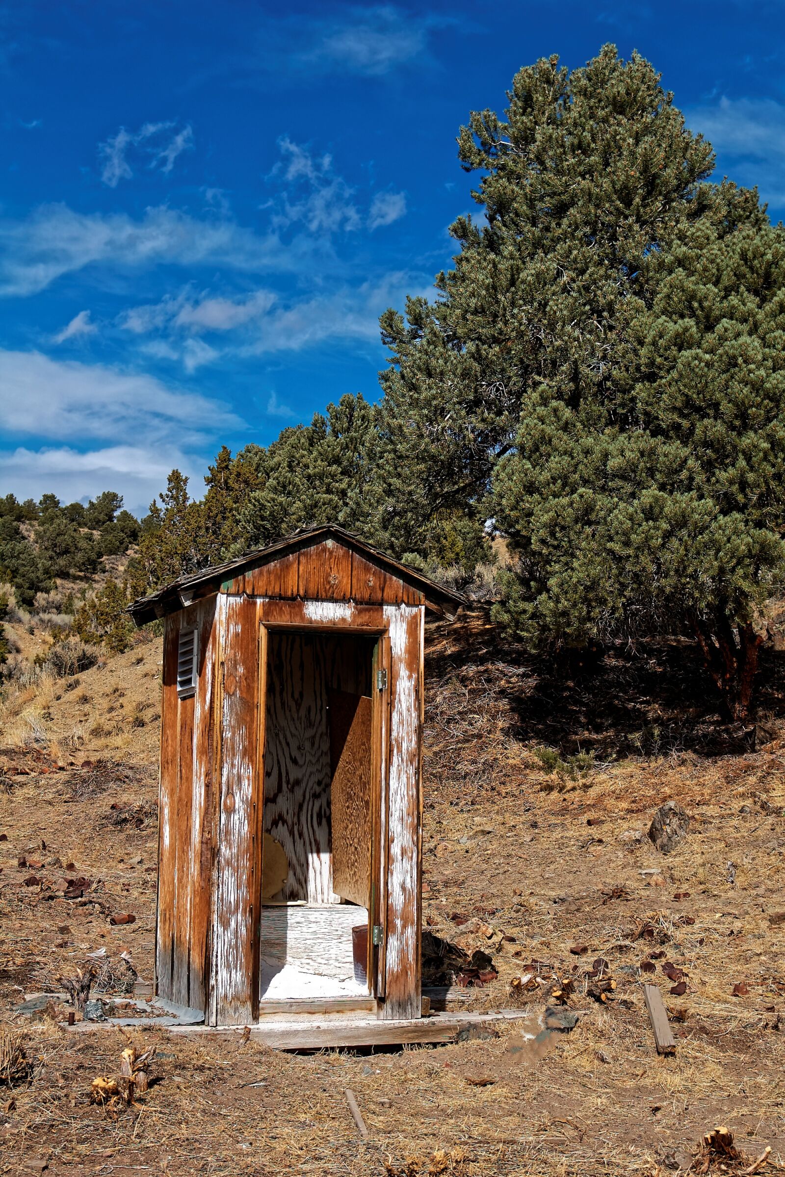 Nikon D50 sample photo. Nevada, usa, ione photography