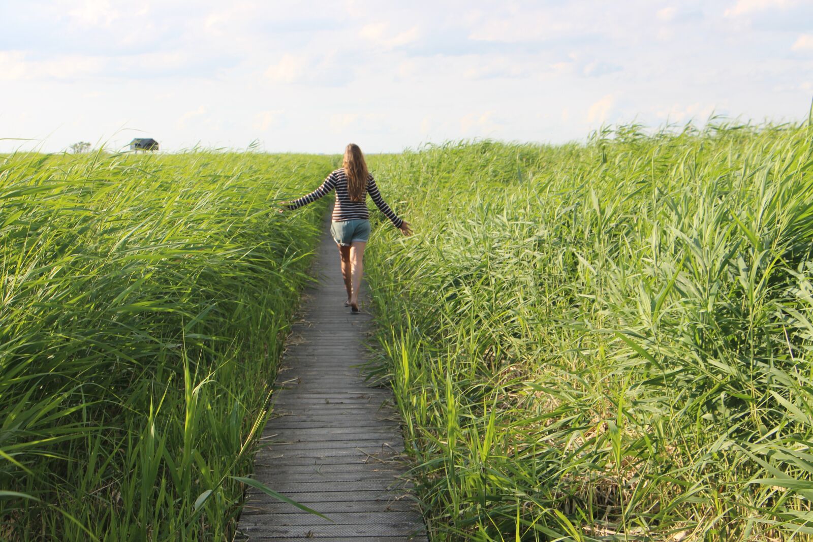 Canon EOS 700D (EOS Rebel T5i / EOS Kiss X7i) sample photo. Woman, grass, away photography