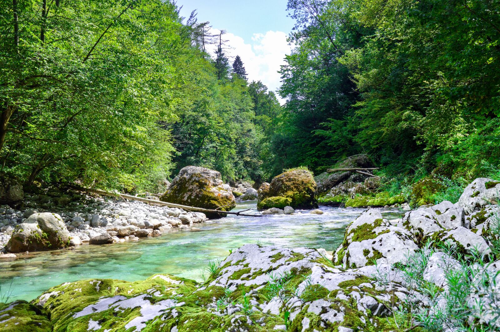Nikon D3200 sample photo. Creek, rock, forest photography