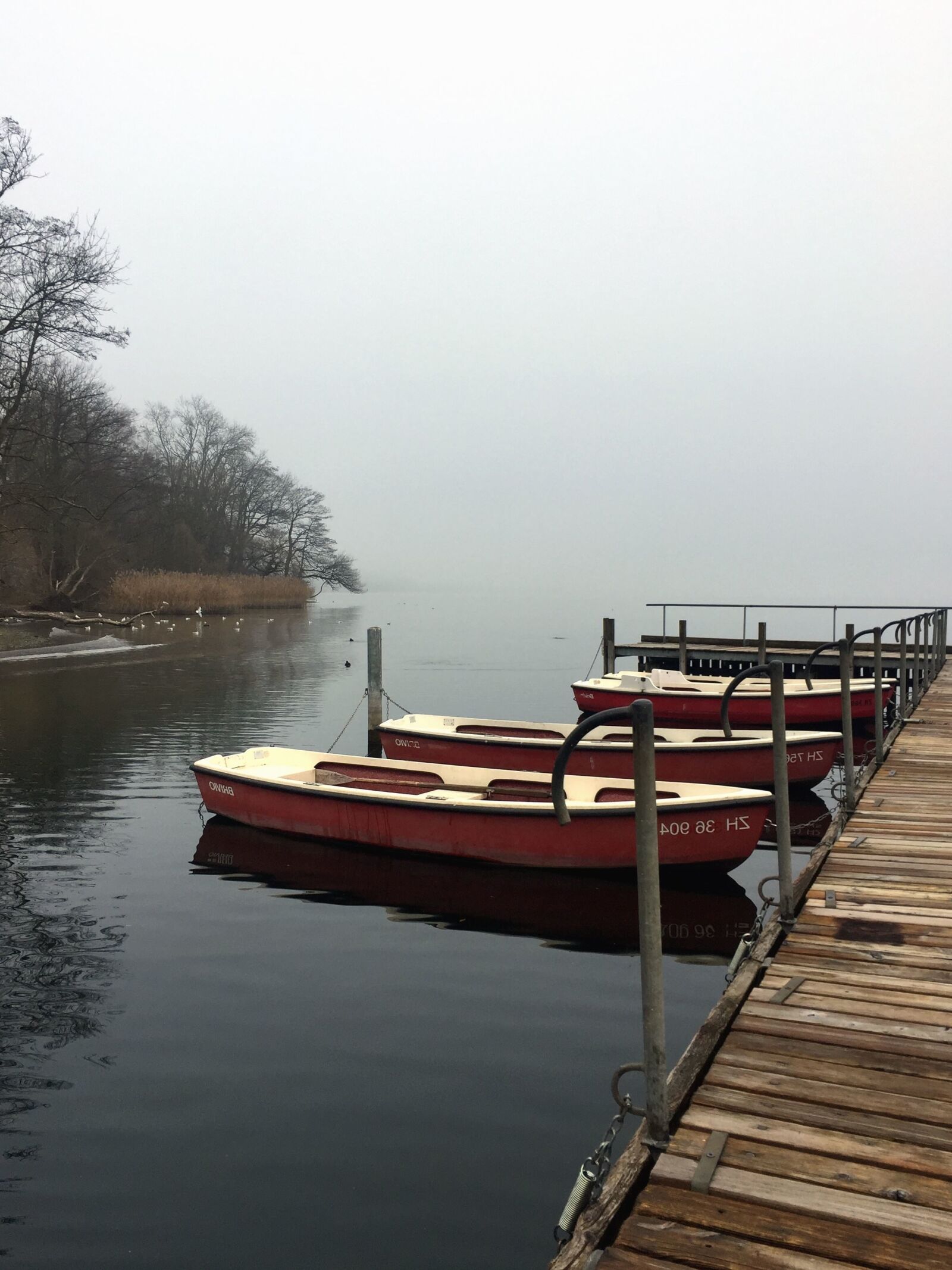 Apple iPhone 6 sample photo. Boat, dock, water, lake photography