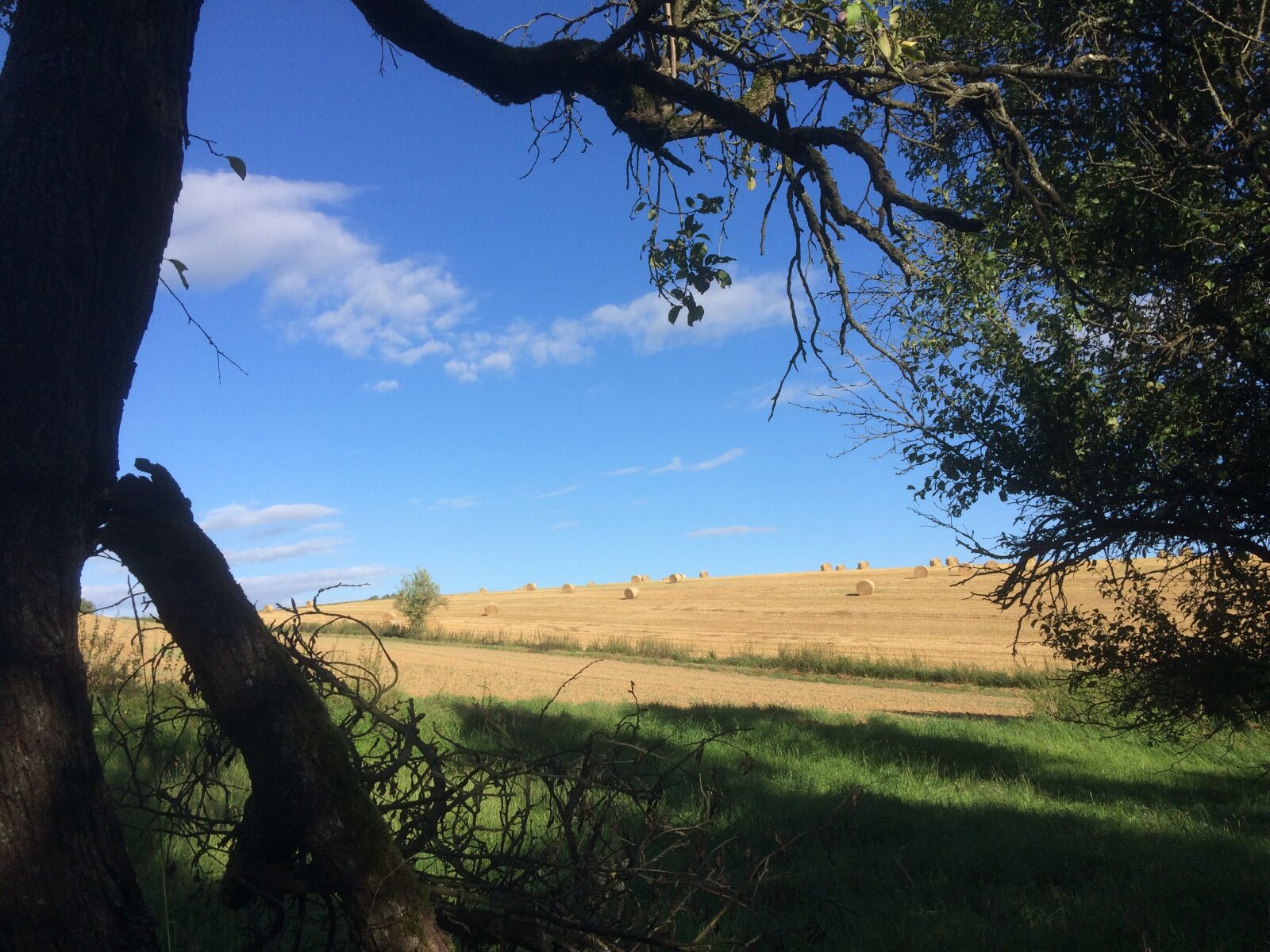iPhone 5s back camera 4.15mm f/2.2 sample photo. Landscape, country air, agriculture photography