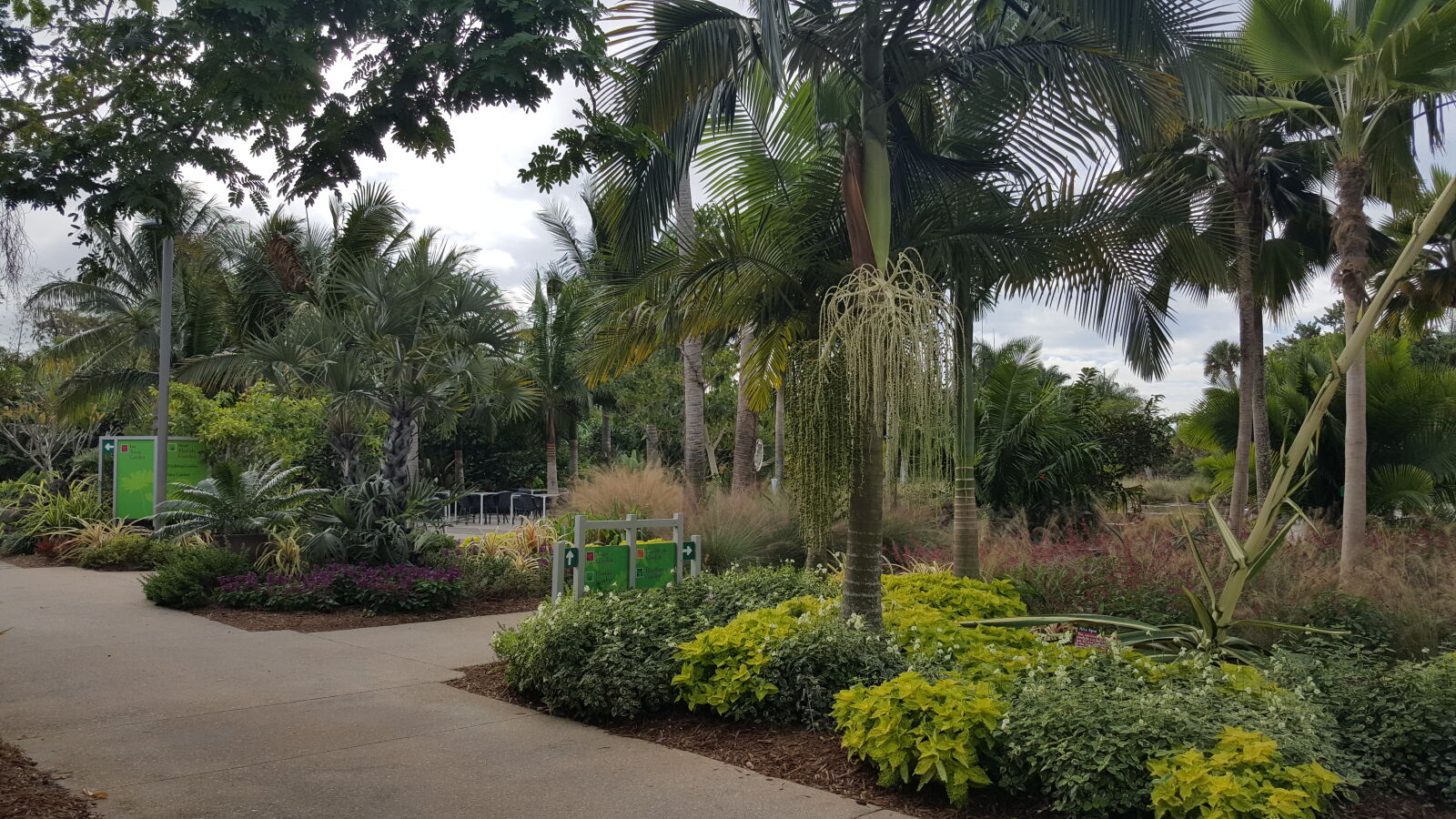 Samsung GALAXY S6 edge sample photo. Botanical, gardens photography