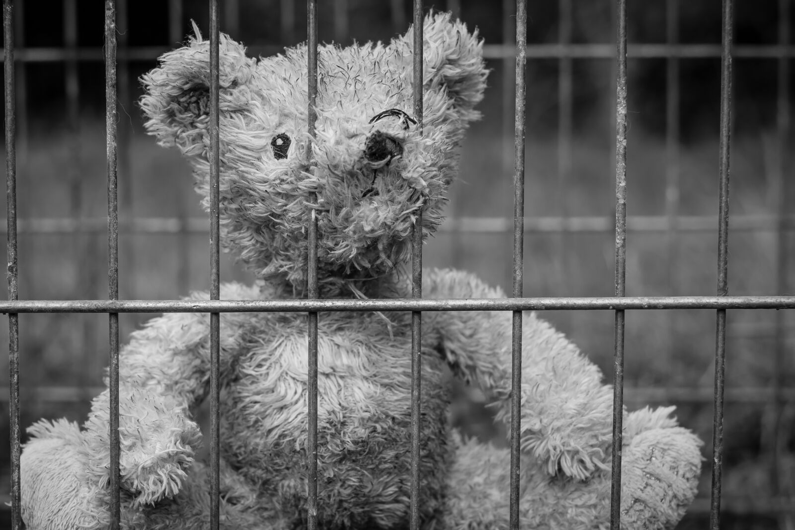 Fujifilm X-T1 + Fujifilm XF 35mm F1.4 R sample photo. Teddy, bear, lost photography