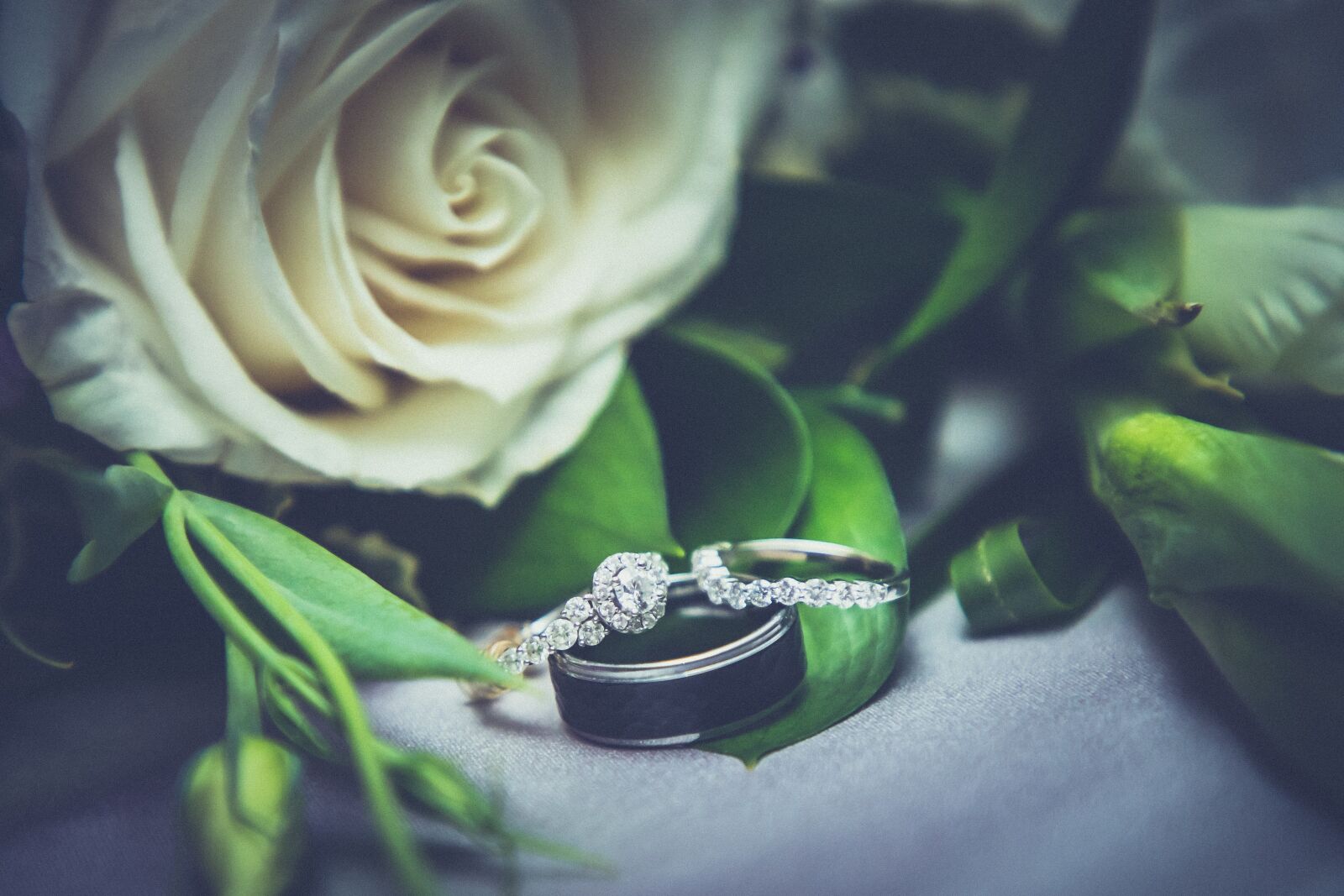 Canon EOS 5D Mark IV sample photo. Wedding, rings, white rose photography