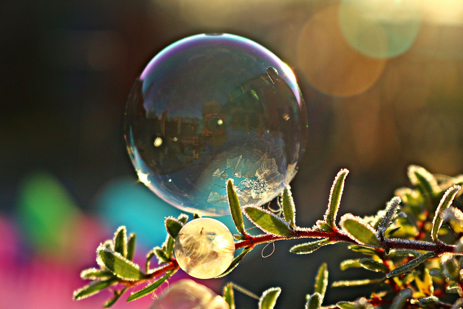 Canon EOS 100D (EOS Rebel SL1 / EOS Kiss X7) sample photo. Soap bubble, frost bubble photography