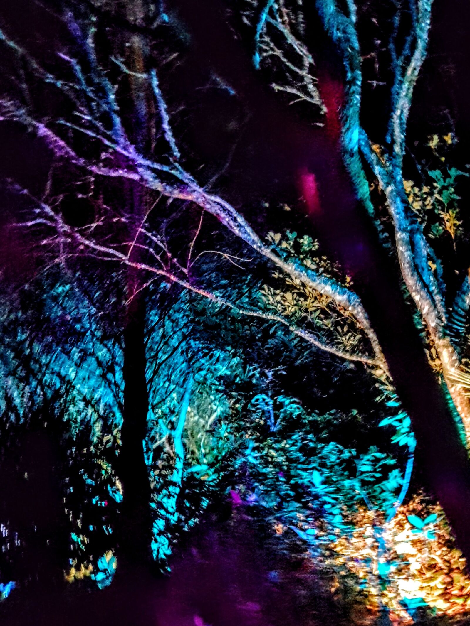 Samsung Galaxy S7 Edge sample photo. Light show, illumination, trees photography