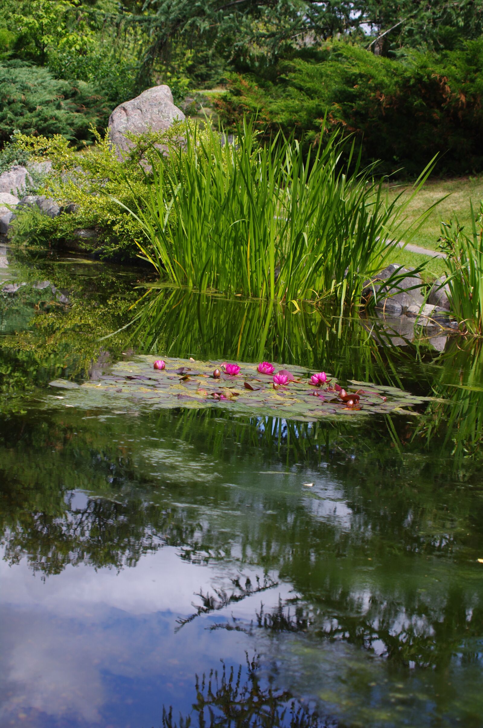 Pentax K-7 sample photo. Garden, japanese, water photography