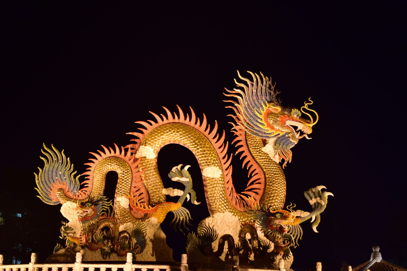 Nikon D5300 sample photo. Dragon, gold, night photography