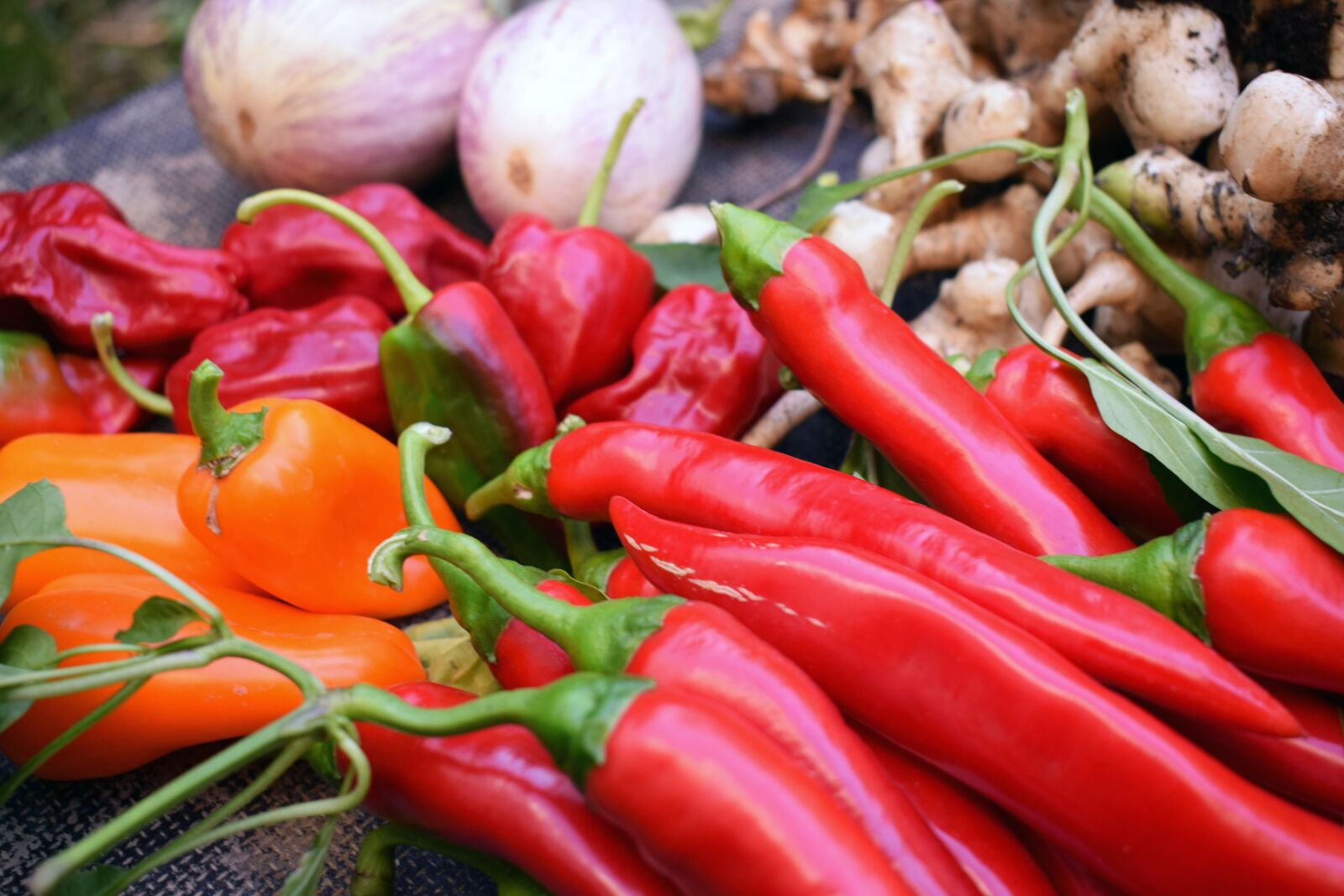 Nikon D3300 sample photo. Food, spice, vegetables photography