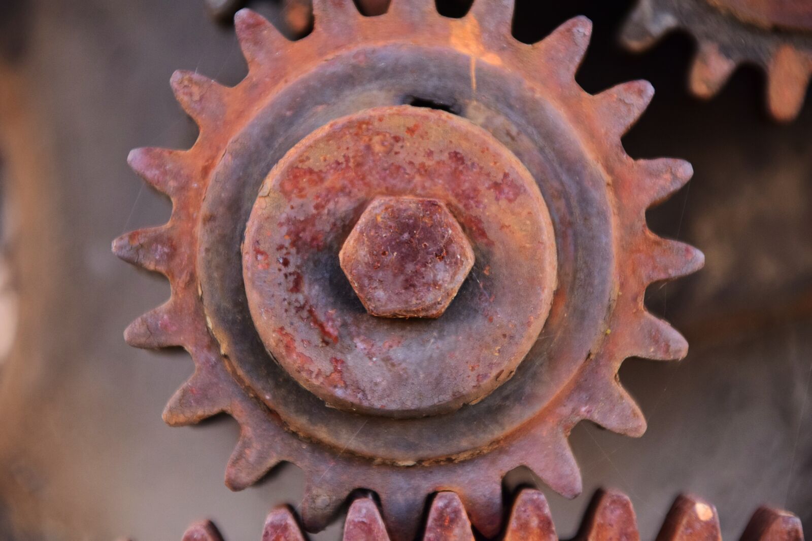 Nikon D3300 sample photo. Gear, metal, rust photography