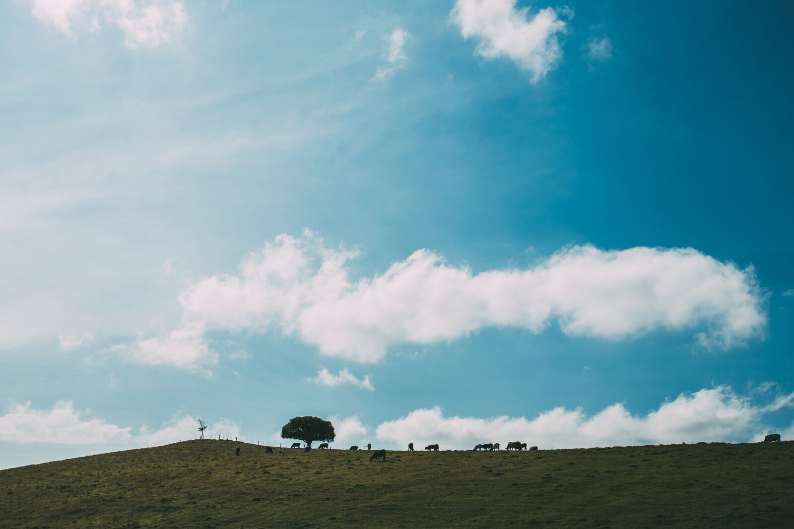 Canon EOS 6D + Canon EF 17-40mm F4L USM sample photo. Nature, landscape, plains photography