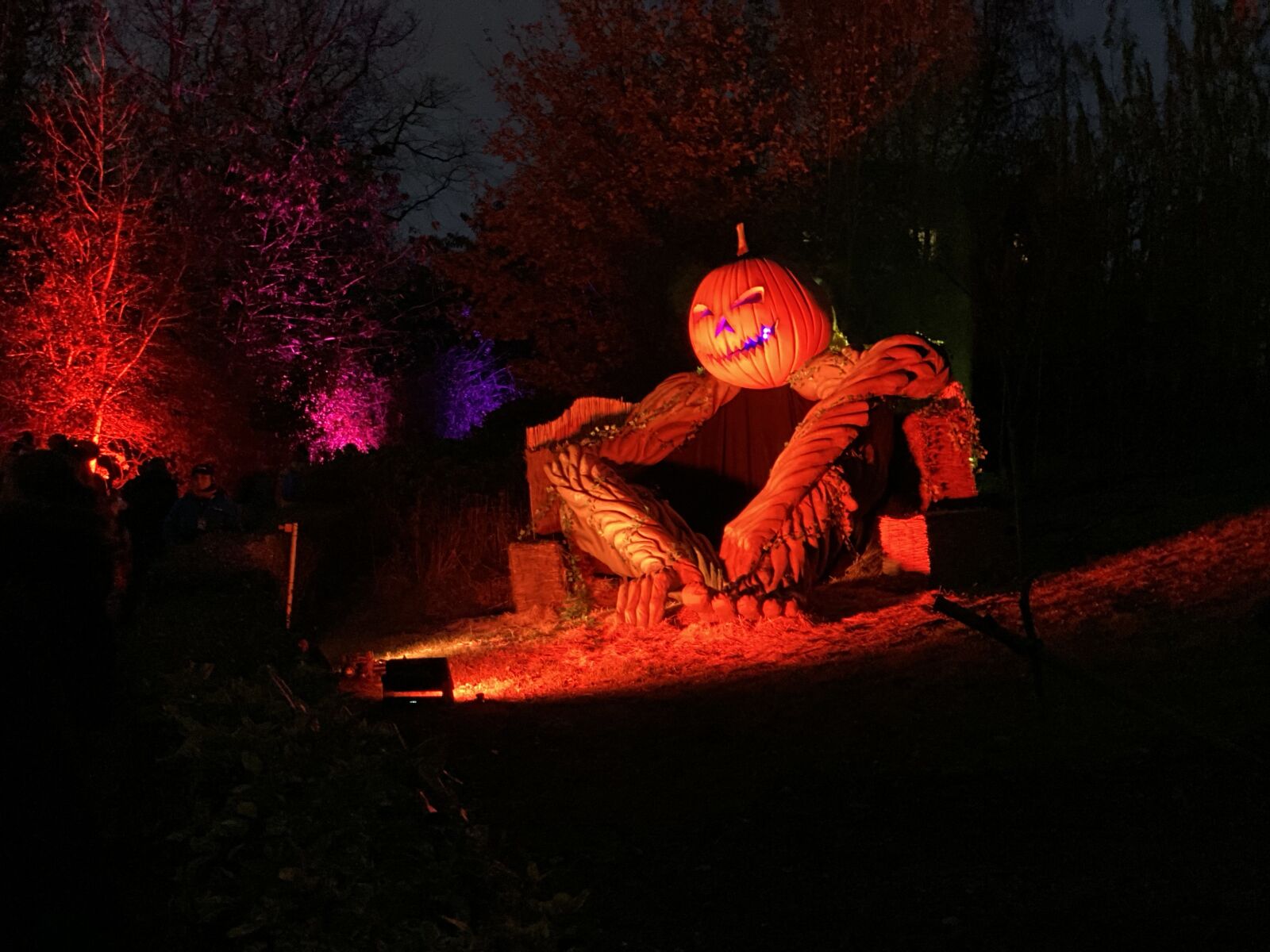 Apple iPhone 11 Pro sample photo. Halloween, pumpkin, pumkin man photography