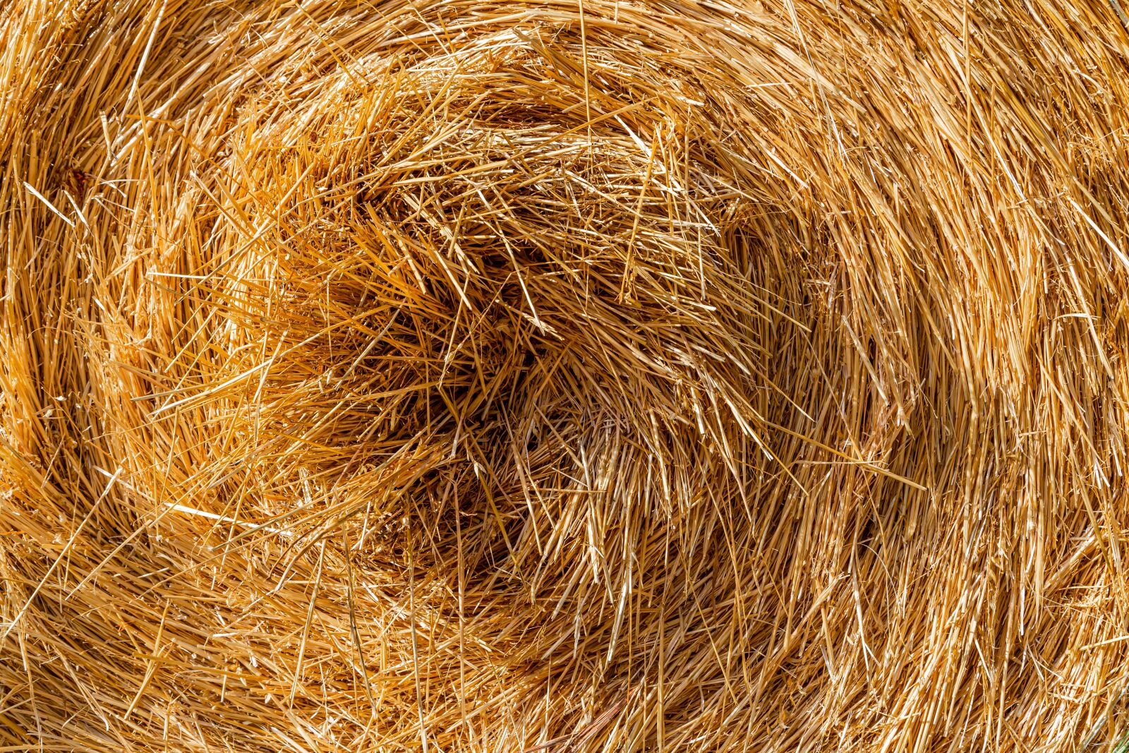 Canon EOS 6D + Canon EF 24-105mm F4L IS USM sample photo. Straw, straw bales, bale photography