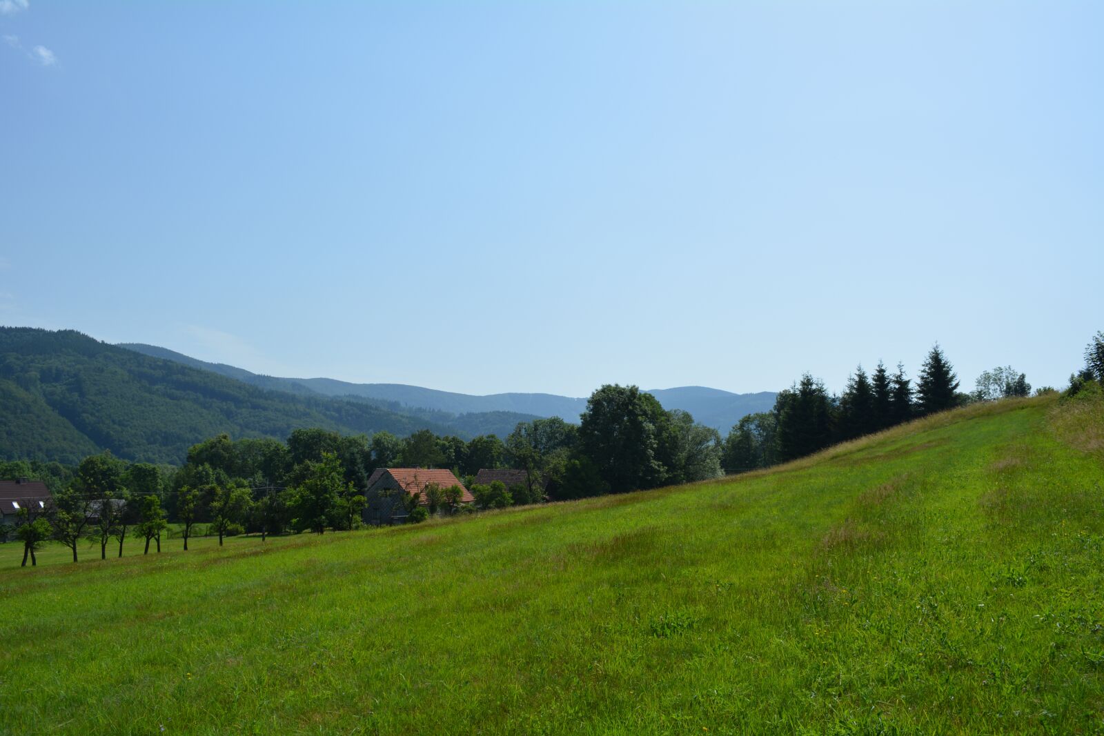 Nikon D5200 sample photo. Village, panorama, grass photography