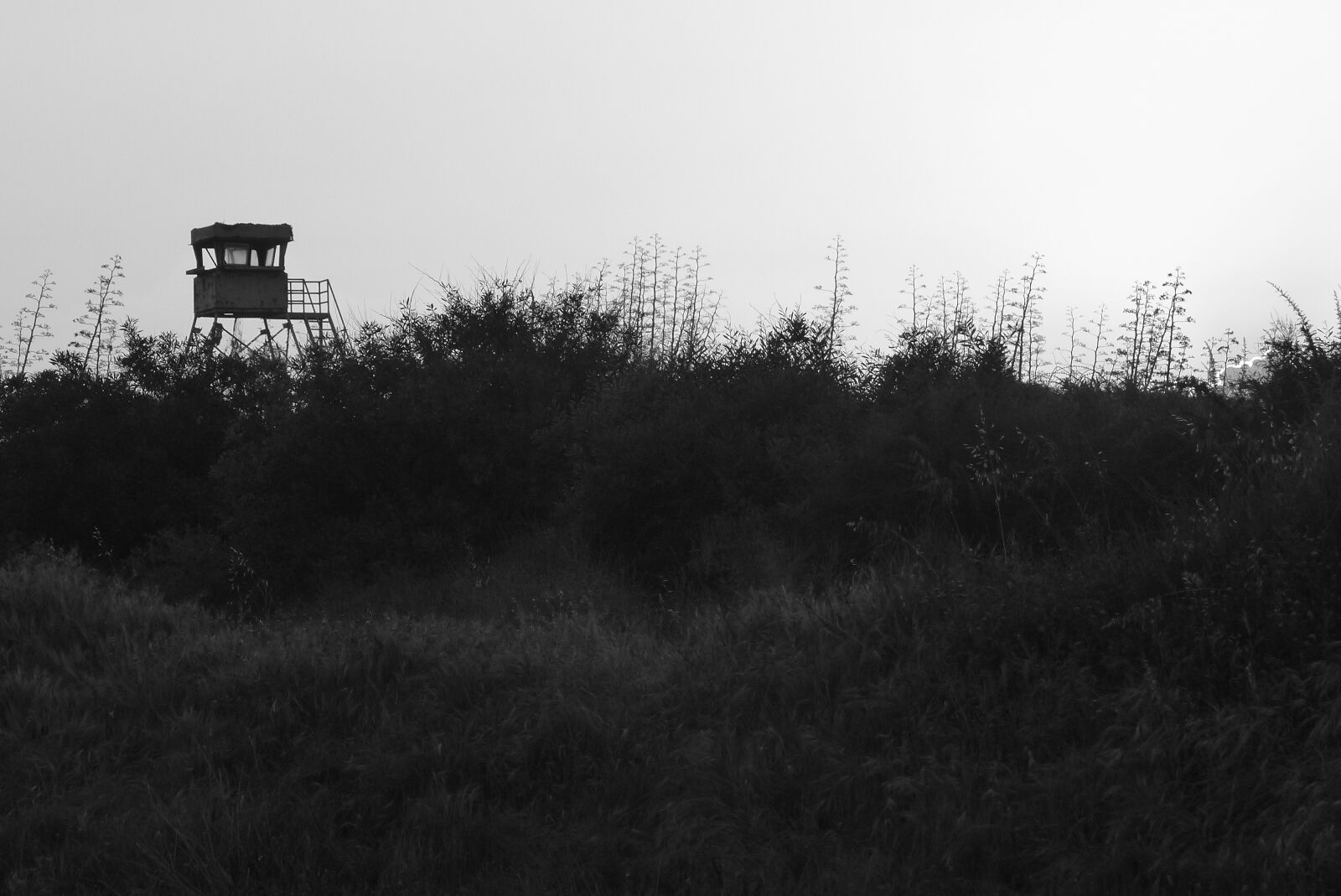 Panasonic Lumix DMC-FZ200 sample photo. Guard station, light and photography