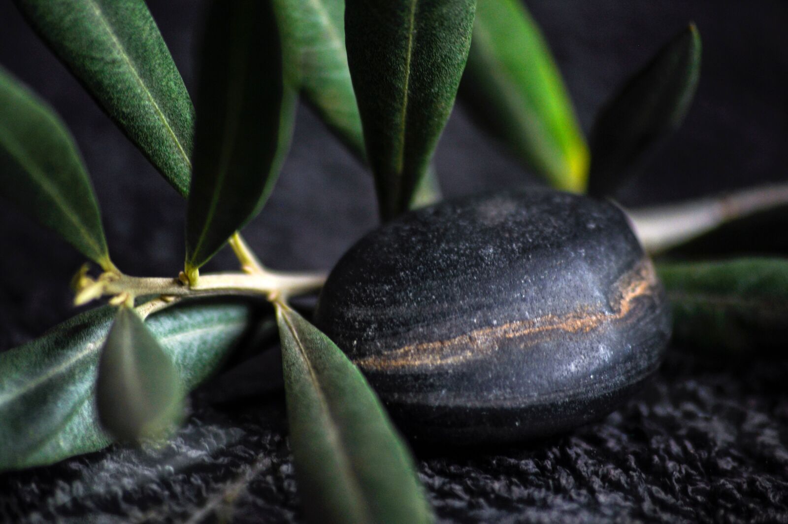 Nikon D90 sample photo. Stone, pebble, branch photography