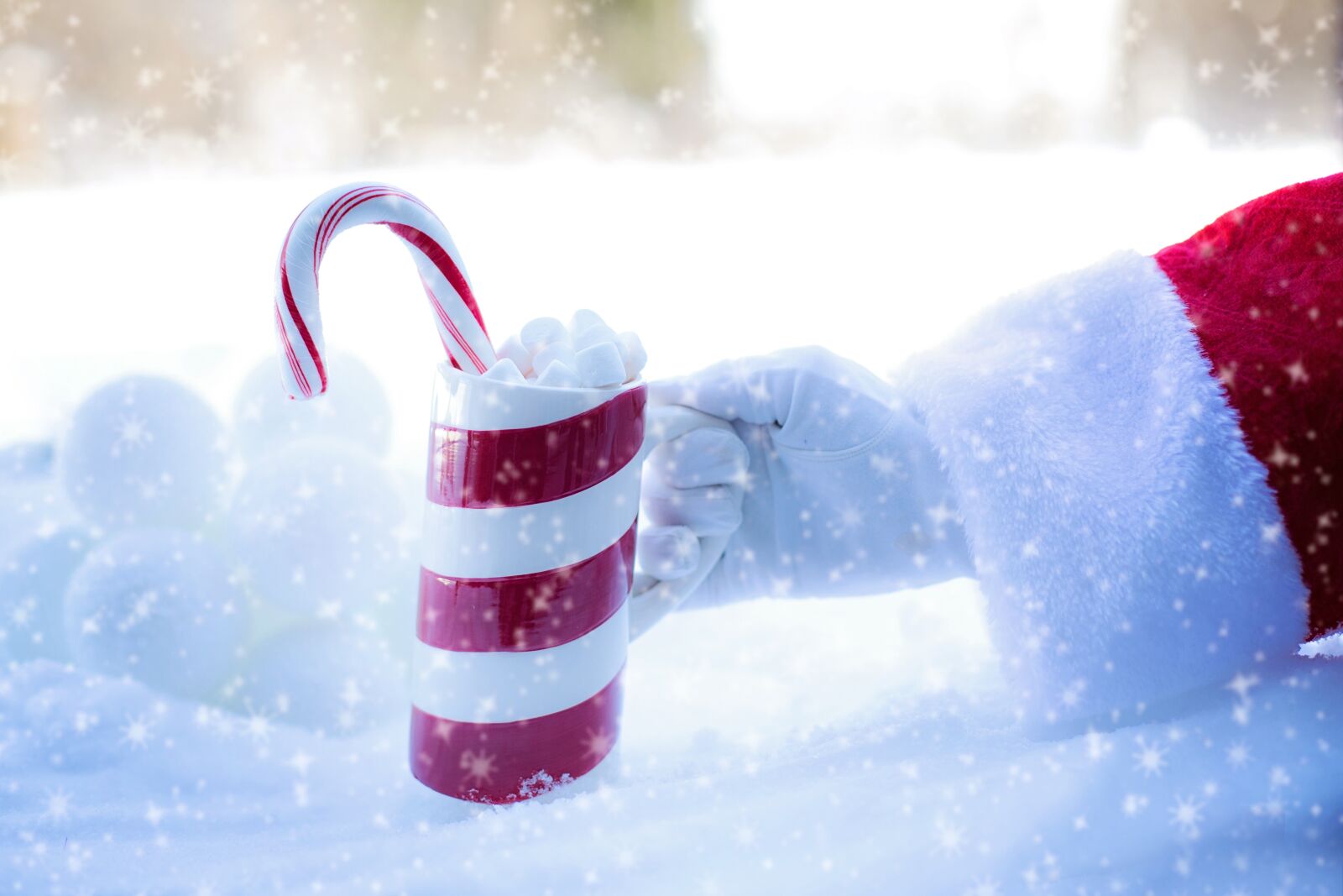 Canon EF 50mm F1.4 USM sample photo. Santa's arm, hot chocolate photography