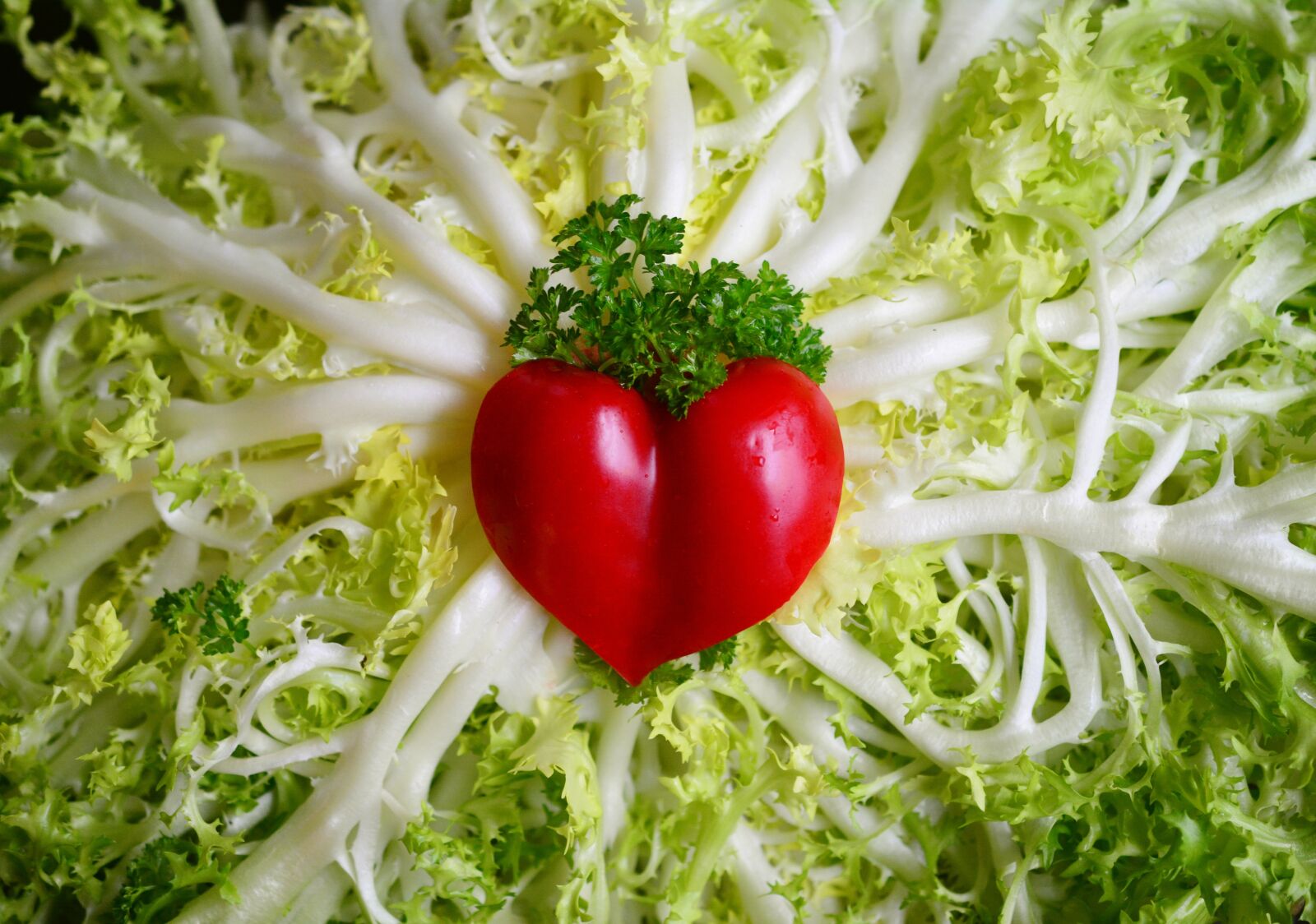 Nikon D5200 sample photo. Friseesalat, salad, fresh photography