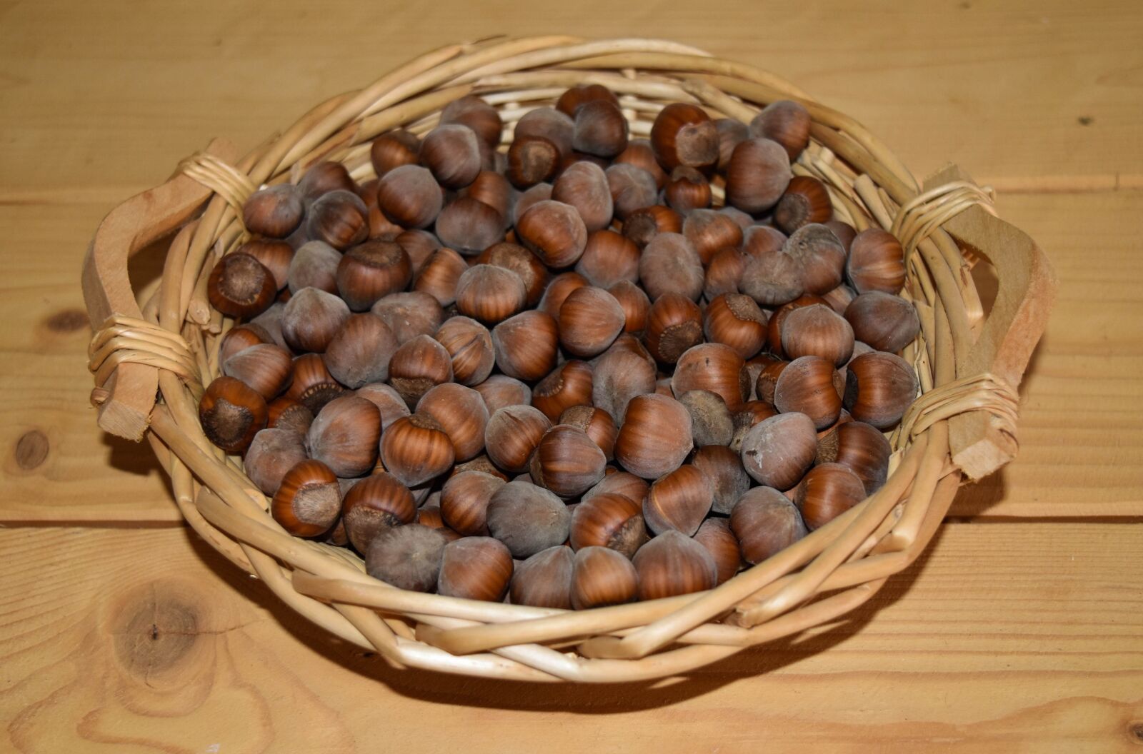 Nikon D5500 sample photo. Hazelnuts, nuts, hazel photography