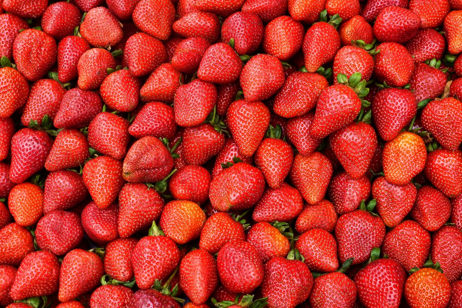 Panasonic Lumix DMC-ZS8 (Lumix DMC-TZ18) sample photo. Strawberries, fruit, food photography
