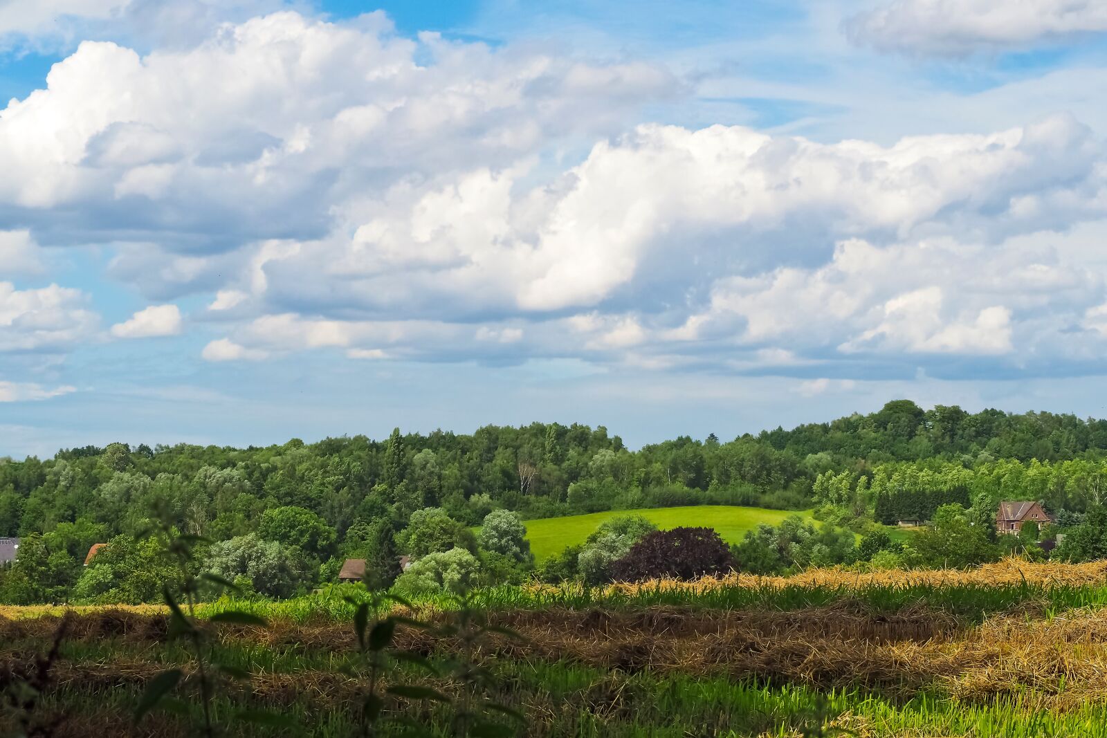 Olympus OM-D E-M10 sample photo. Landscape, field, nature photography