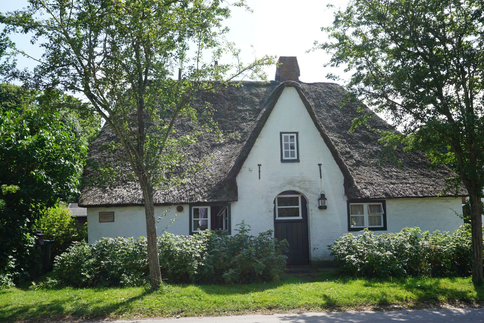 Sony a6000 sample photo. Thatched roof, north sea photography