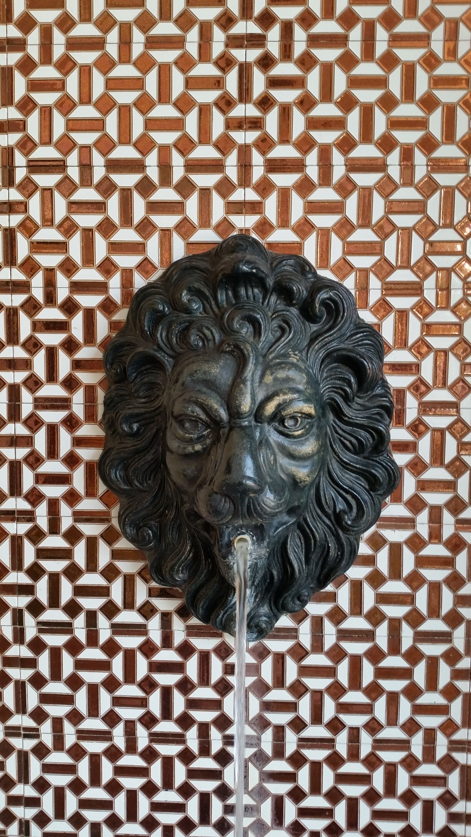Samsung Galaxy S5 sample photo. Lion head, gargoyle, lion photography