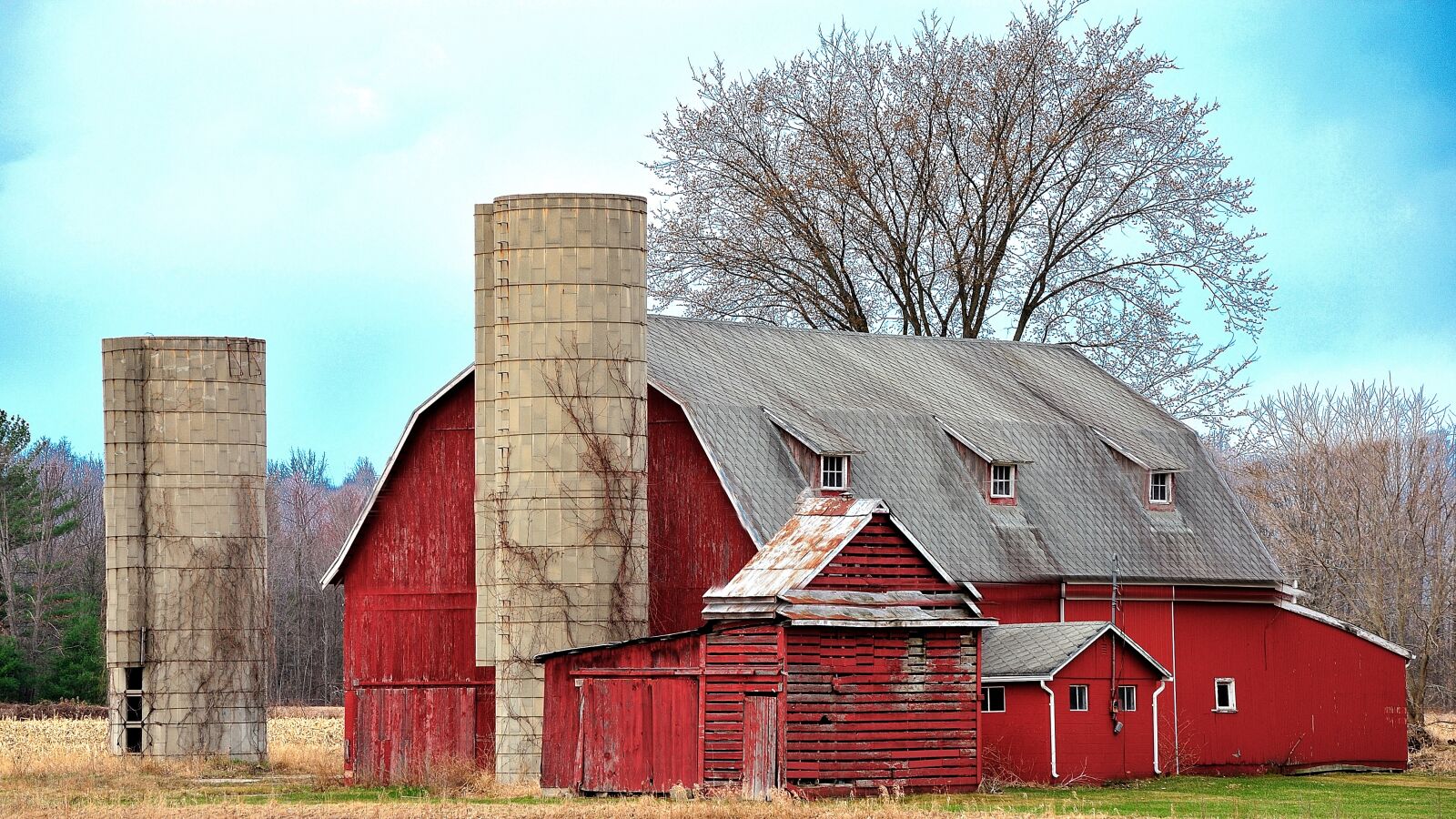 Nikon D700 sample photo. Barn, silo, outdoors photography