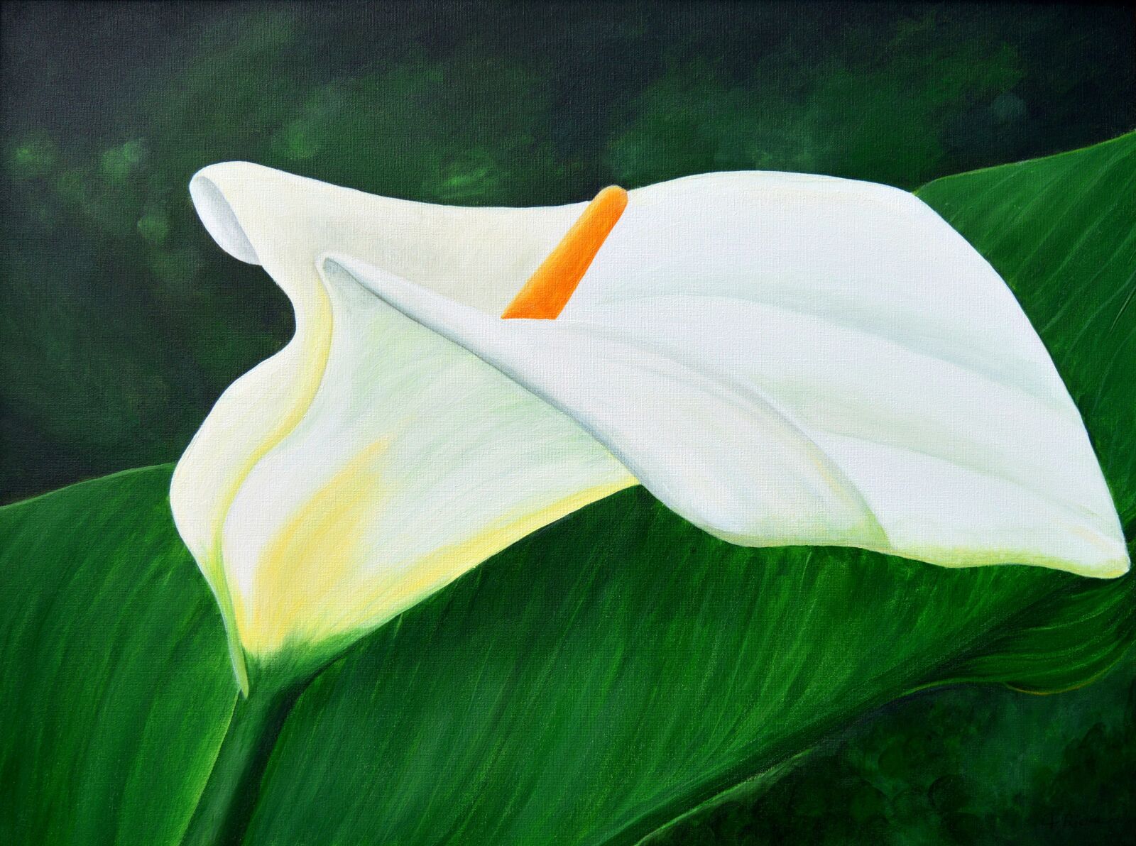 Nikon D3200 sample photo. Calla, acrylbild, painting photography