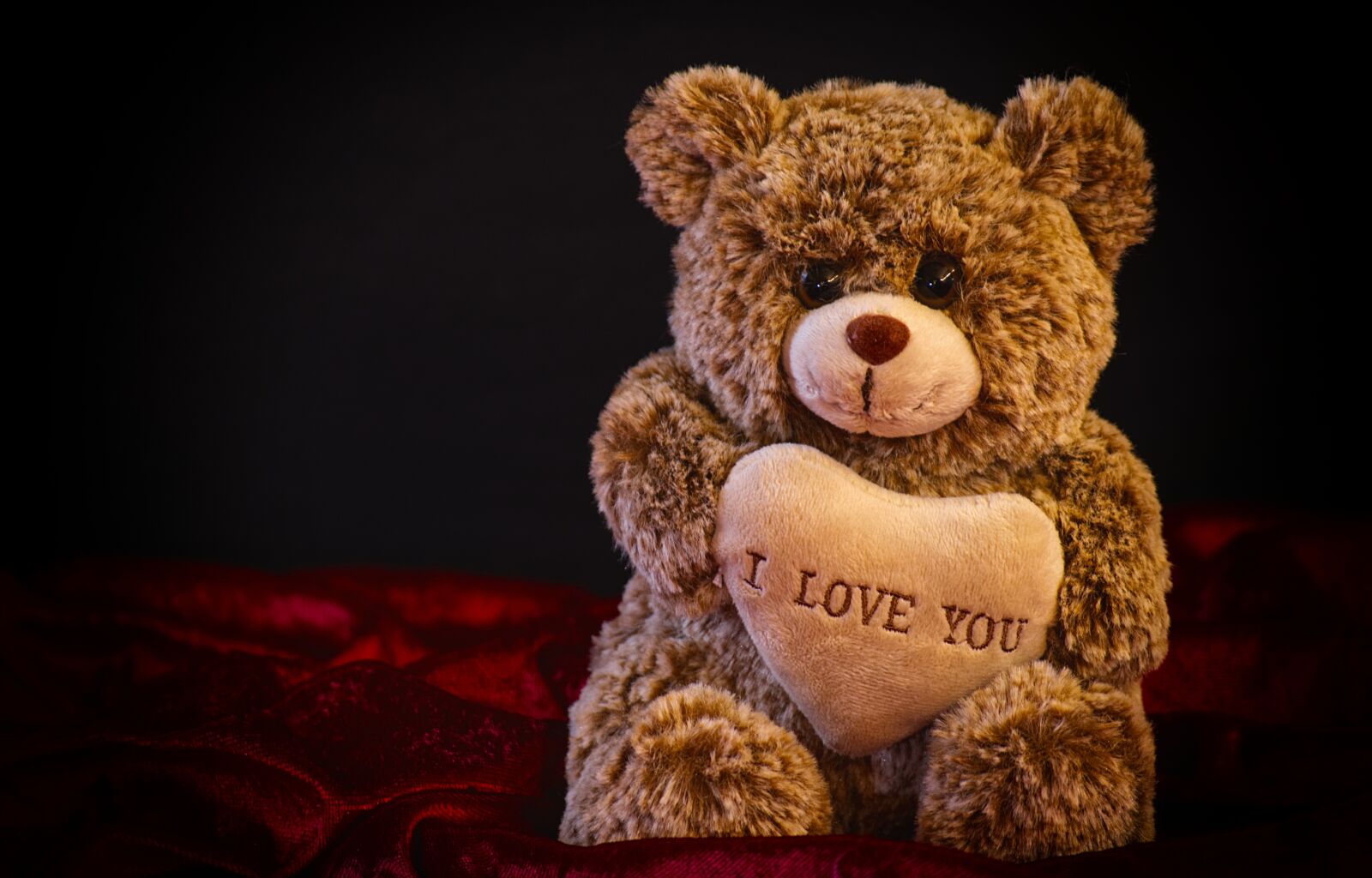 Nikon D7200 sample photo. Teddy, soft toy, love photography