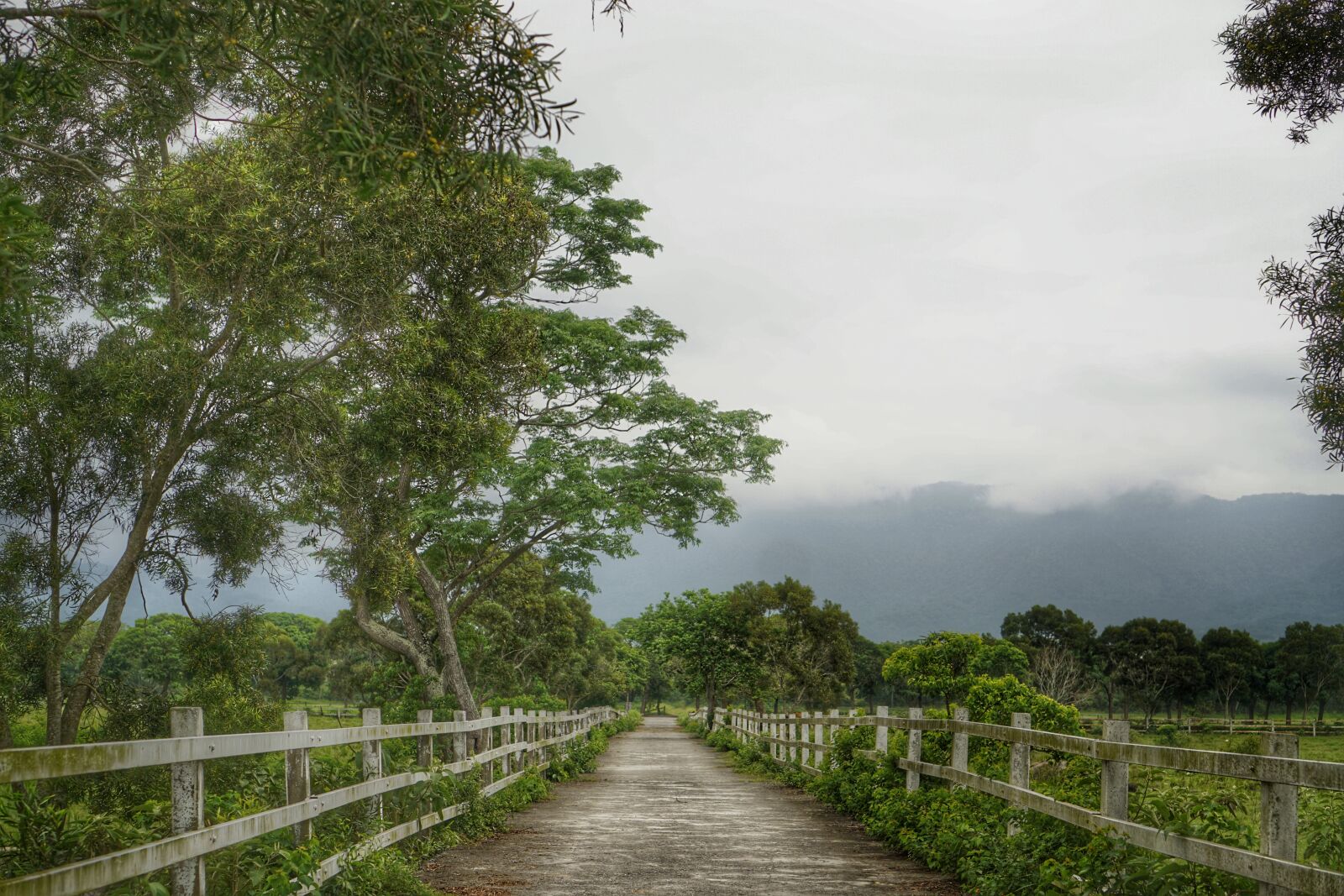 Sony a6000 + Sony E 35mm F1.8 OSS sample photo. Taitung, looks can't photography