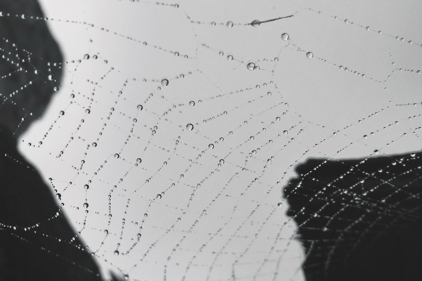 Xiaomi Redmi 4A sample photo. Pattern, abstract, drop photography