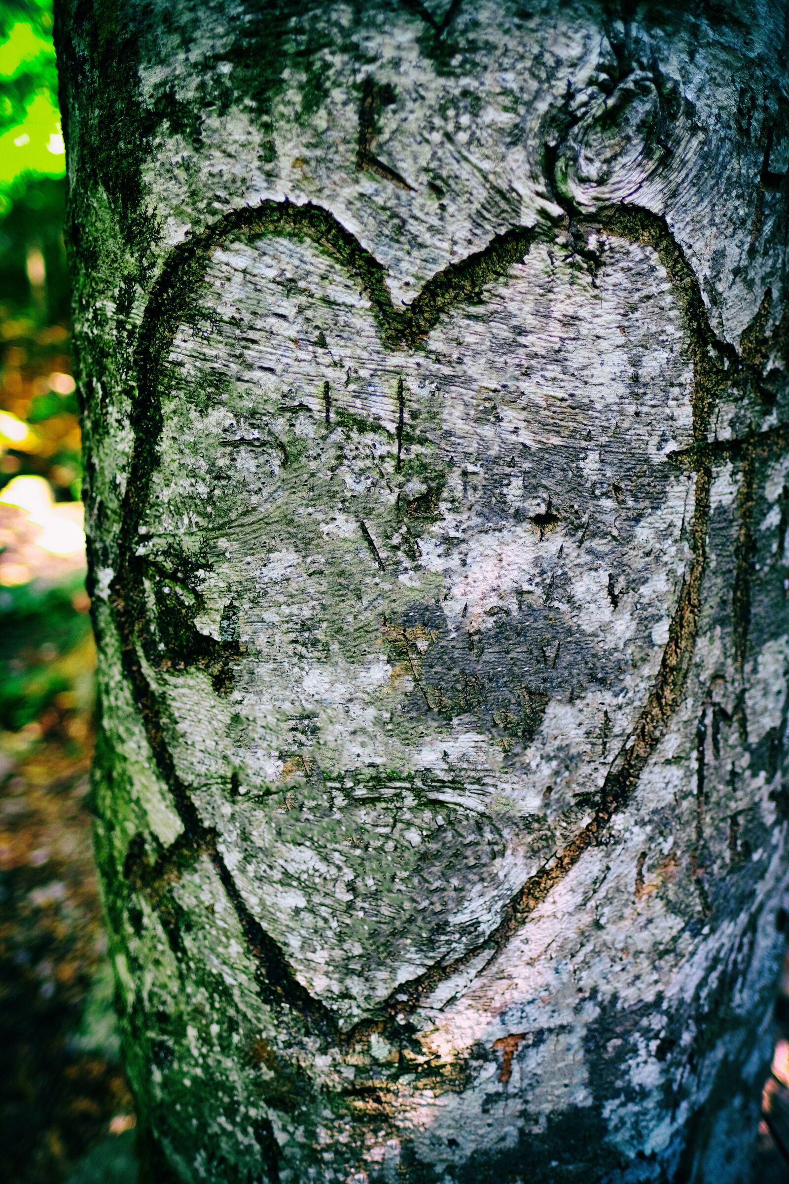 Fujifilm X-T2 sample photo. Heart, love, affection photography