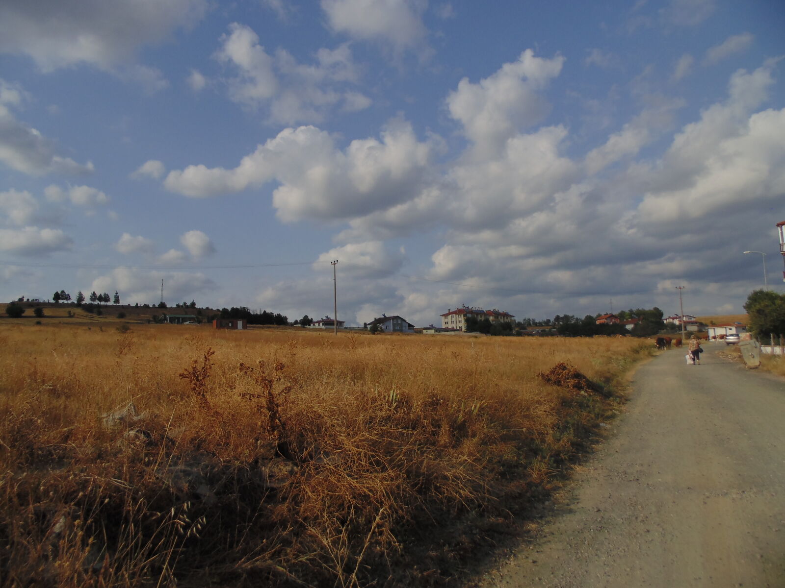 Sony DSC-H100 sample photo