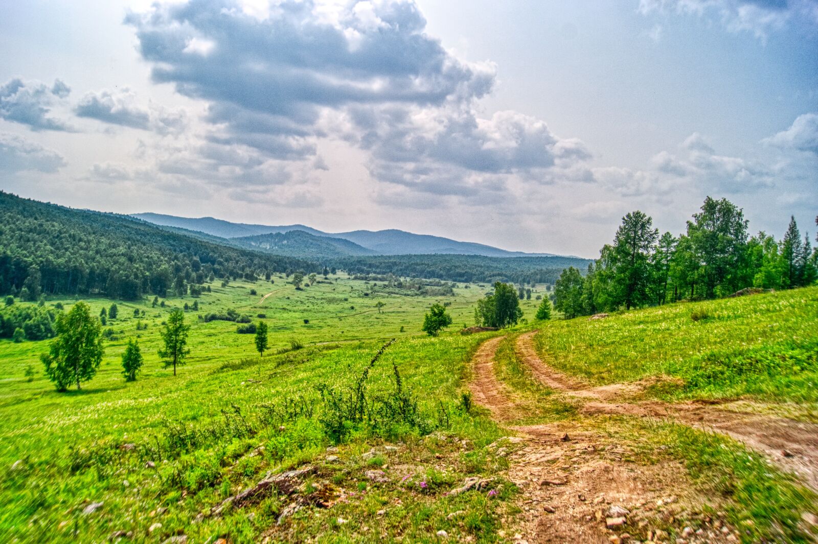 Sony SLT-A57 sample photo. Landscape, nature, field photography