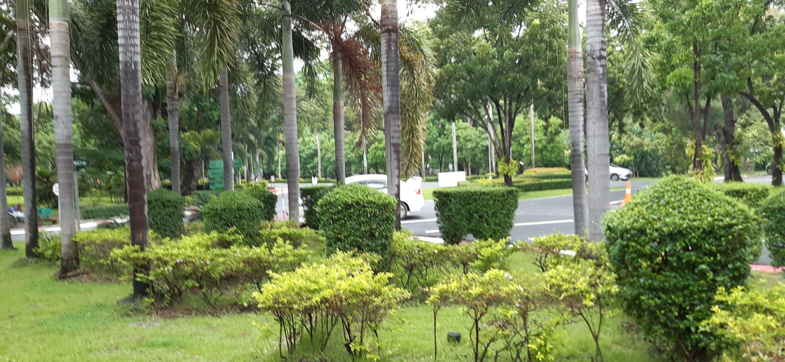 Samsung Galaxy A30 sample photo. Nature, garden, summer photography