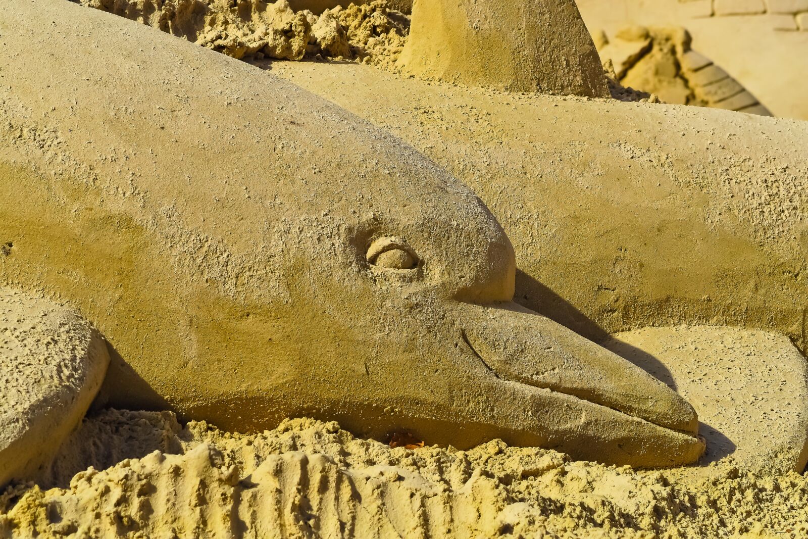 Olympus OM-D E-M10 sample photo. Sandburg, art, sand sculpture photography